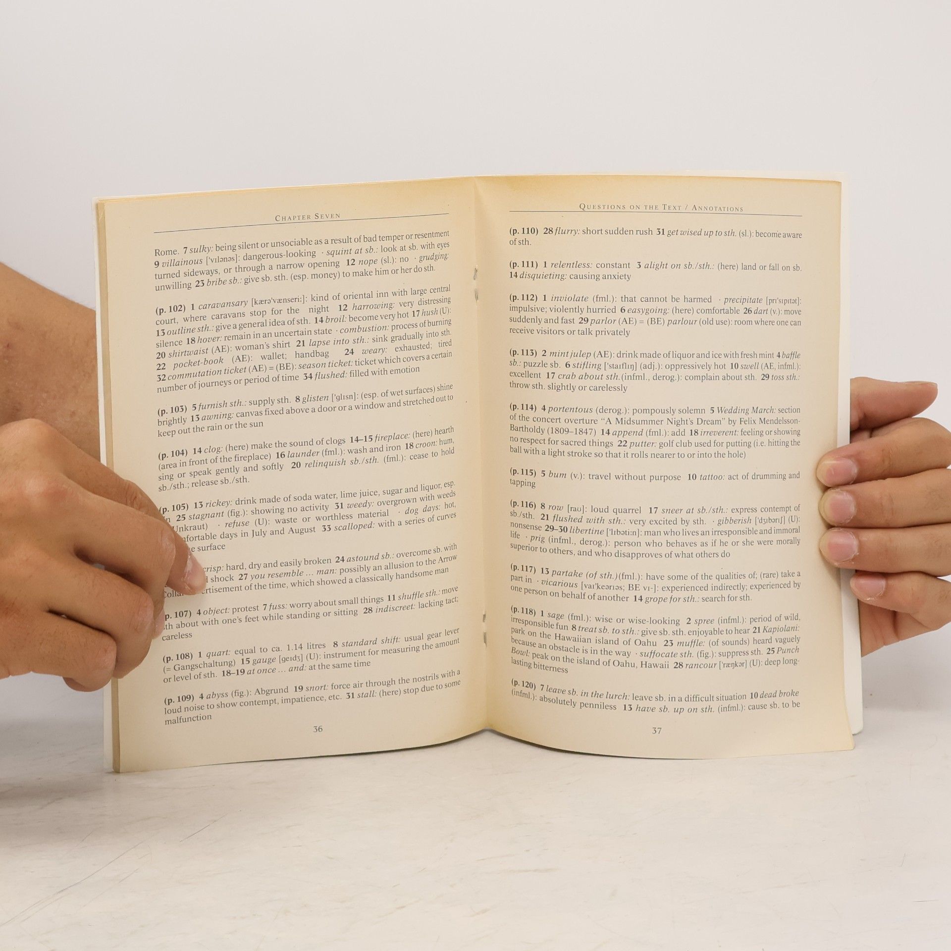 Francis Scott Fitzgerald The Great Gatsby Study Guide