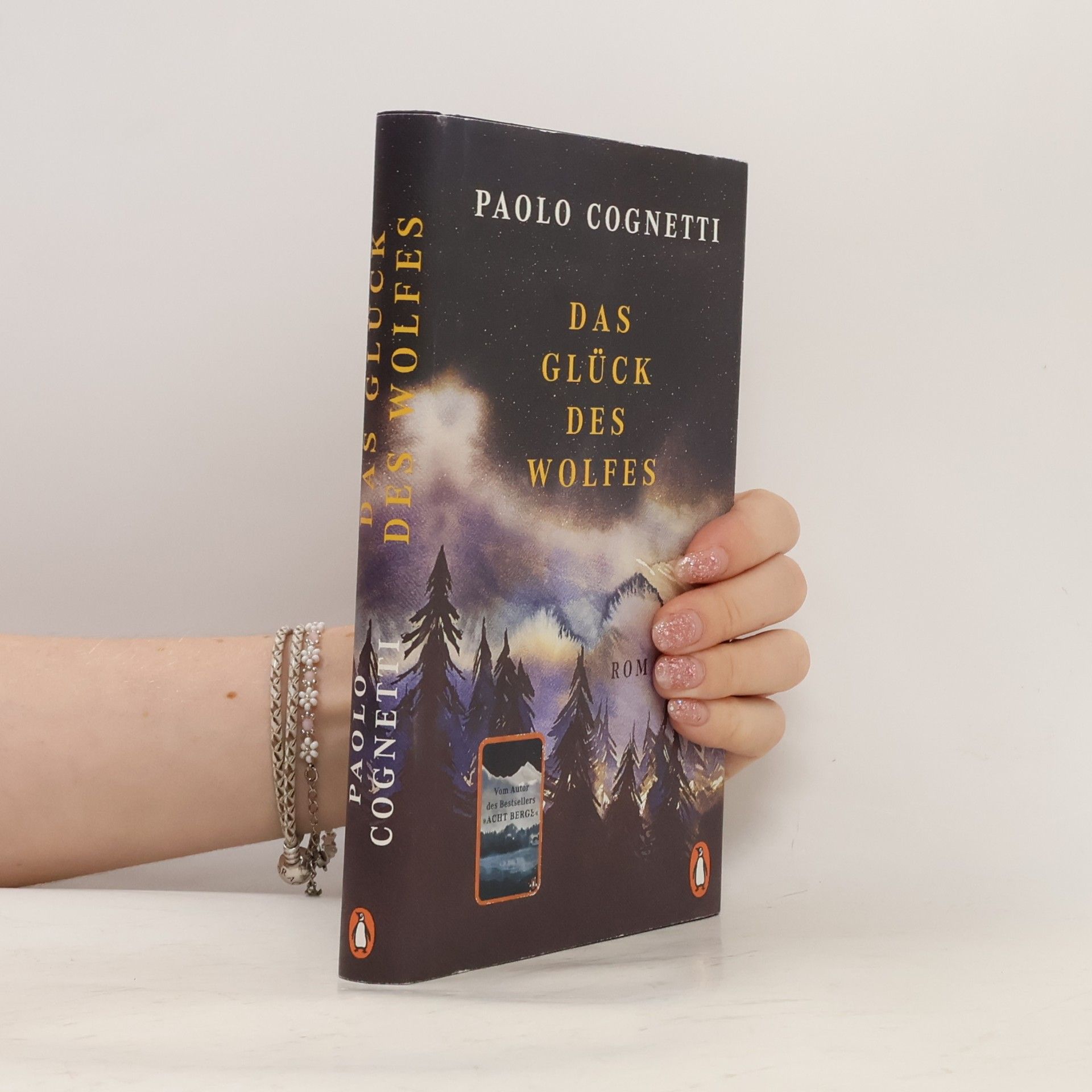 Paolo Cognetti Das Glück des Wolfes