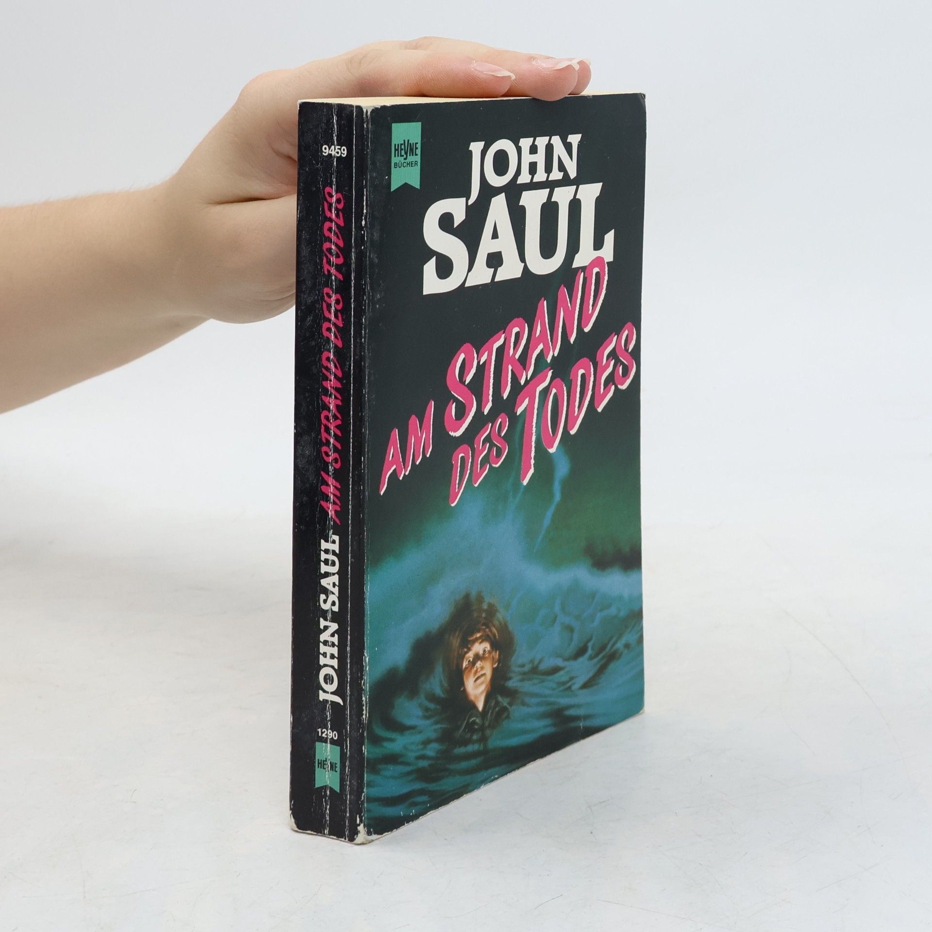 John Saul Am Strand des Todes