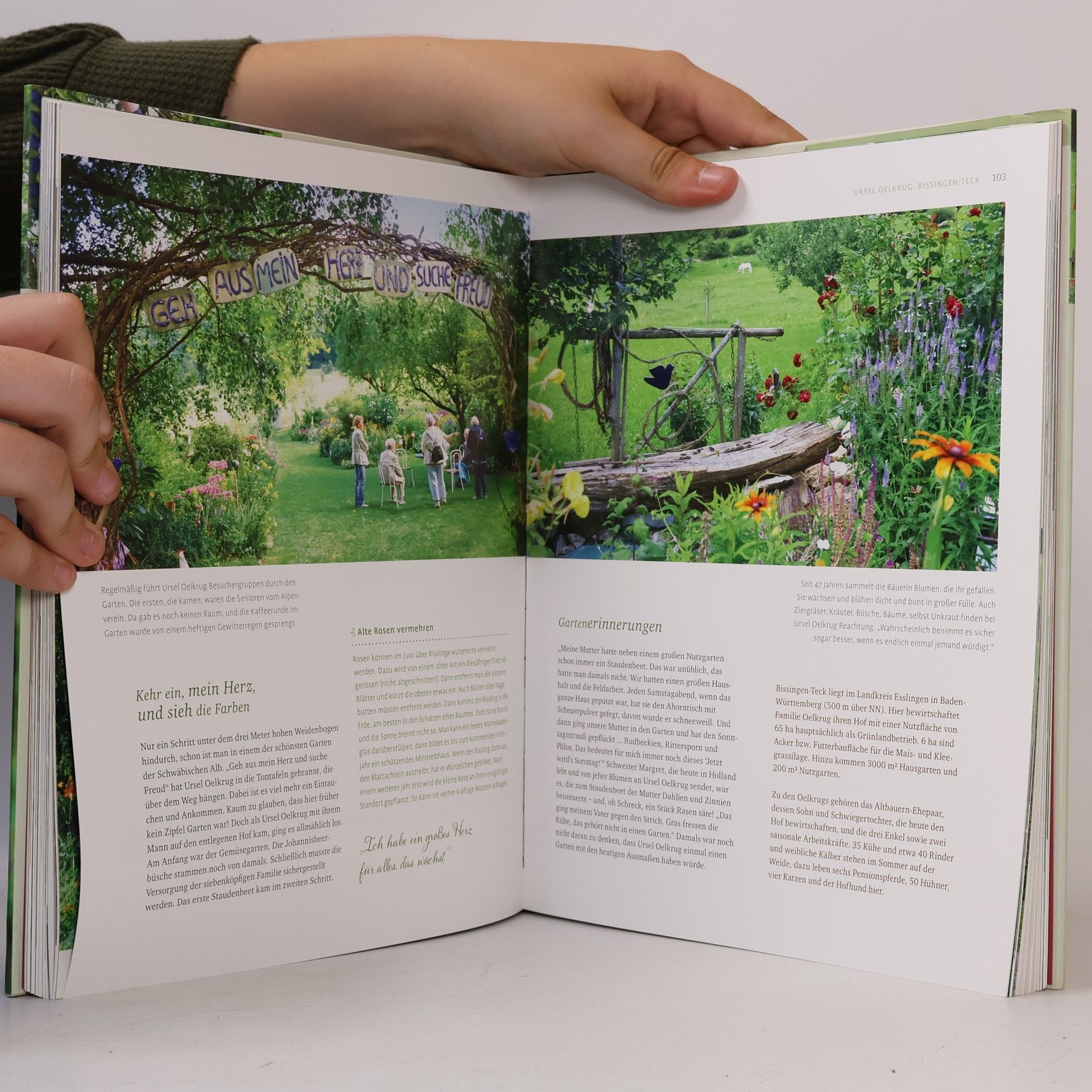 Britta Freith Hinterm Stall die Blumen