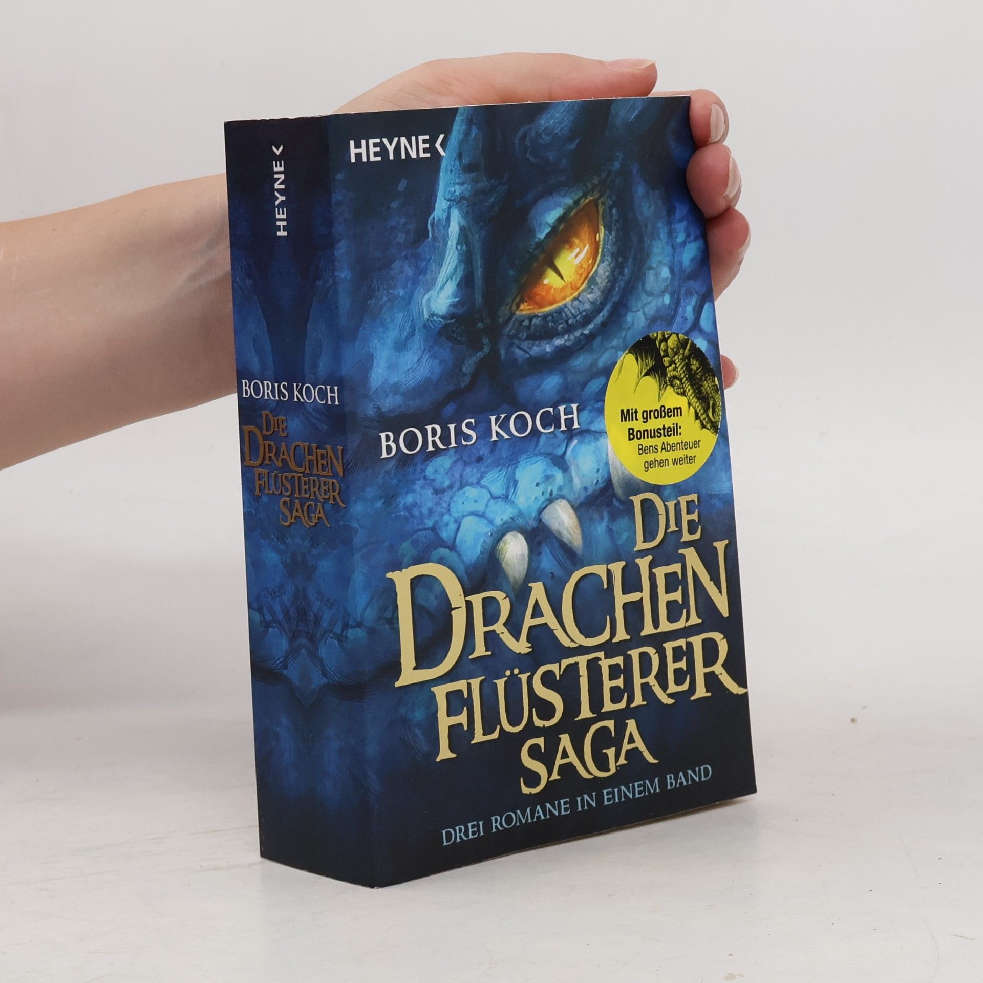 Boris Koch Die Drachenflüsterer-Saga