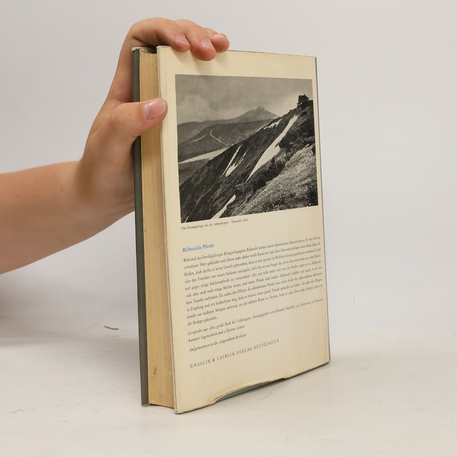 Autorenkollektiv Das große Buch der fabeln