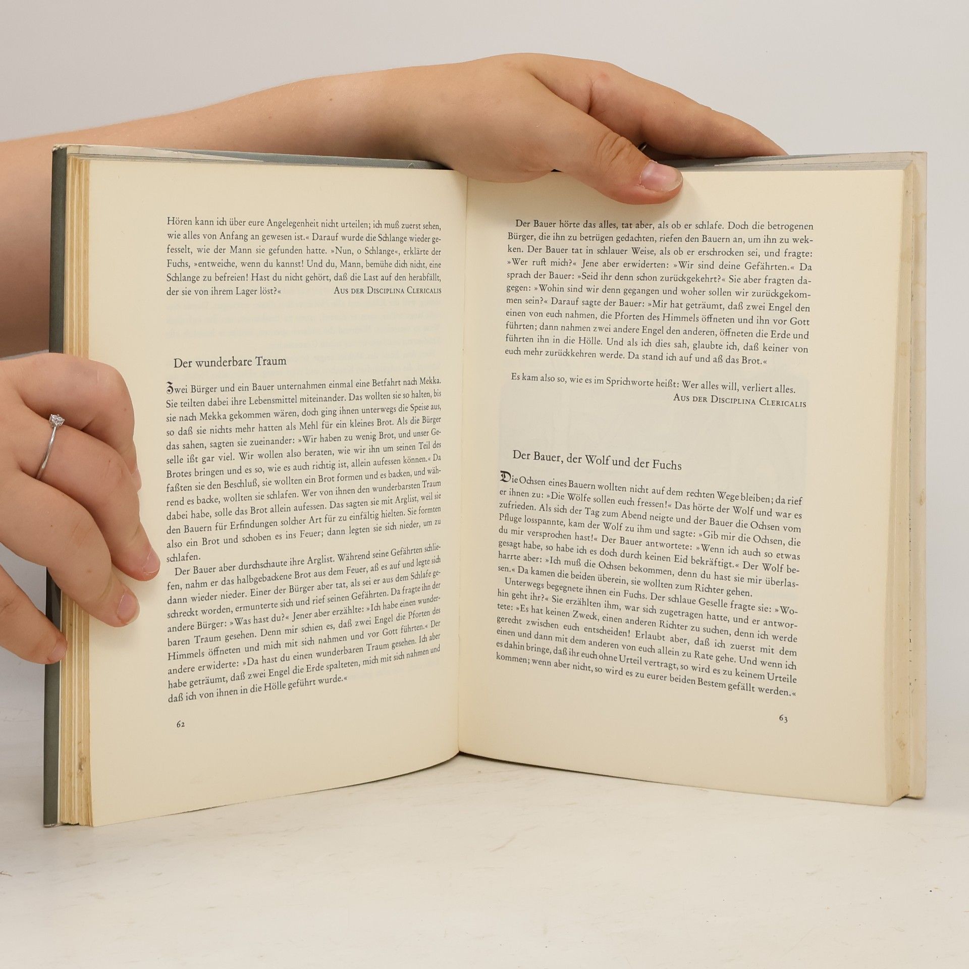 Autorenkollektiv Das große Buch der fabeln