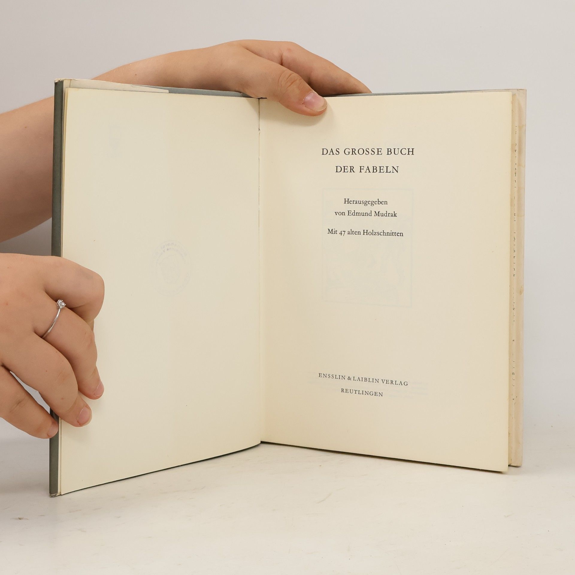 Autorenkollektiv Das große Buch der fabeln