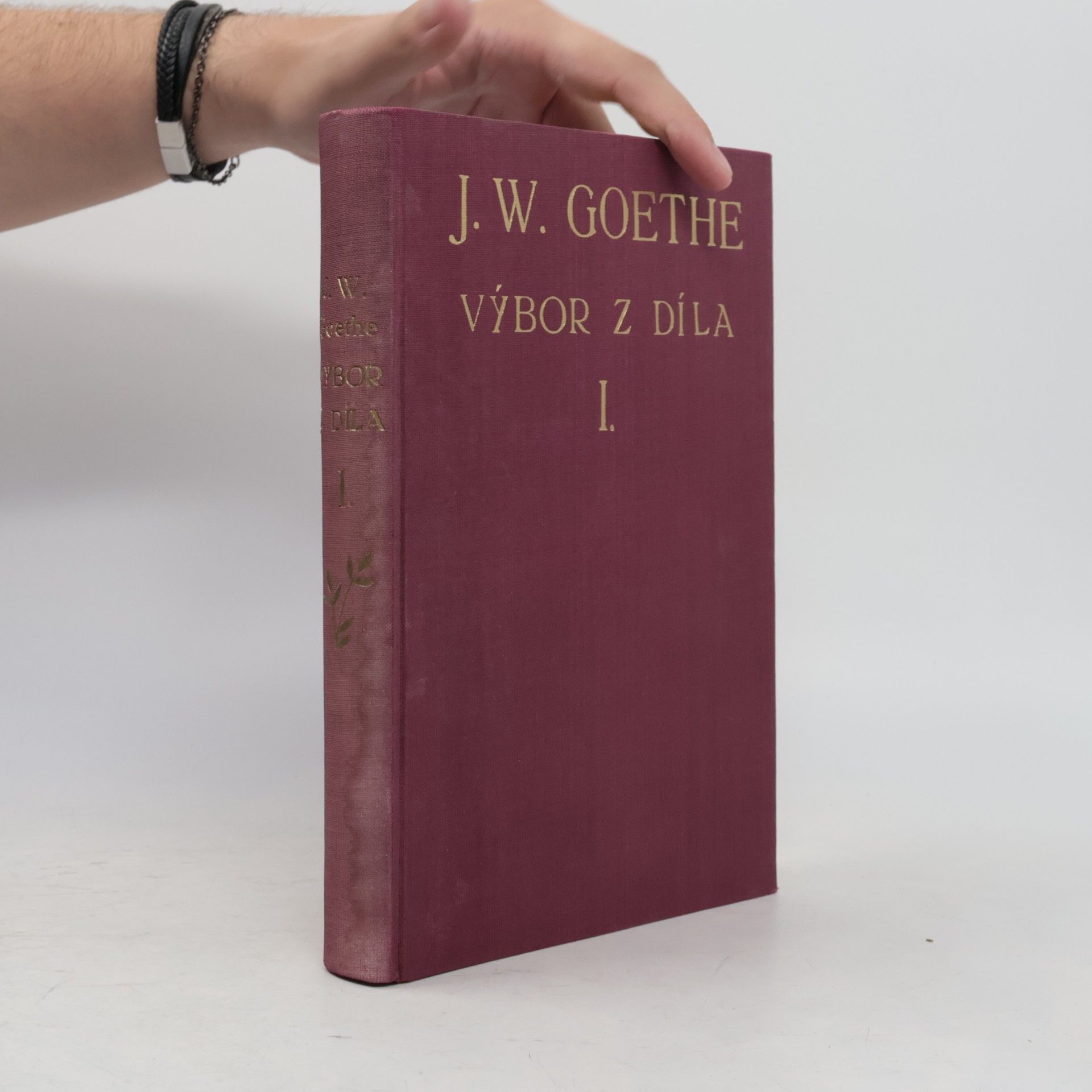 Johann Wolfgang von Goethe Výbor z díla I. Faust