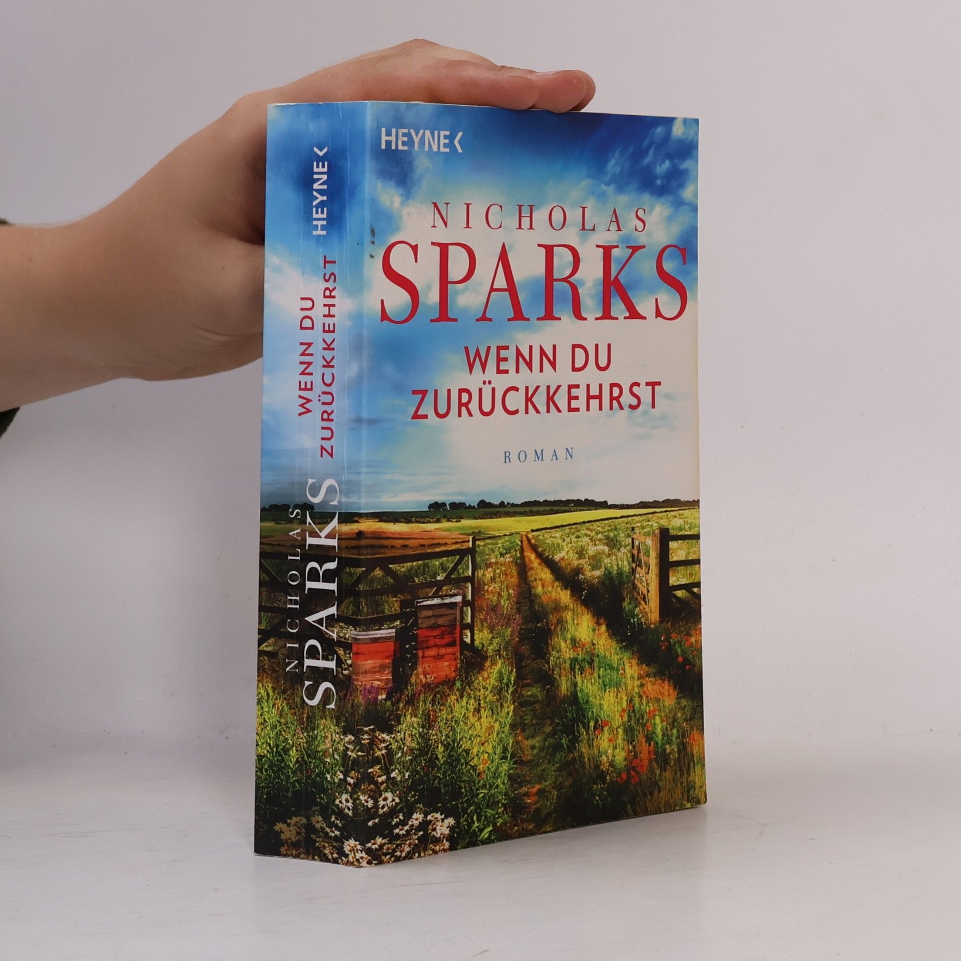 Nicholas Sparks Wenn du zurückkehrst