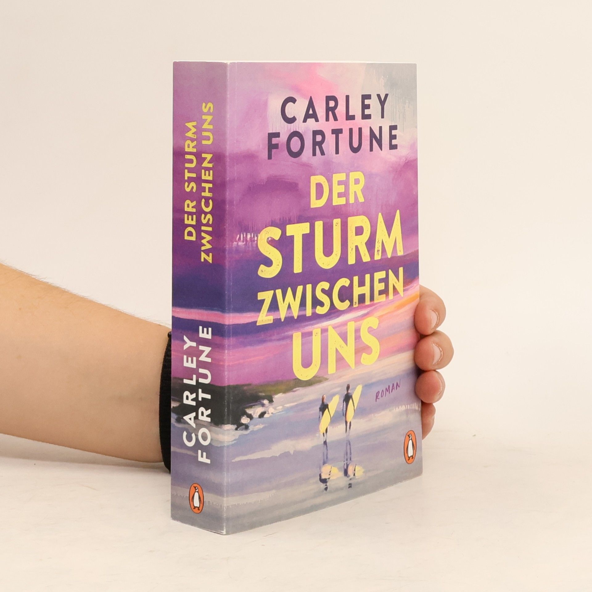 Carley Fortune Der Sturm zwischen uns