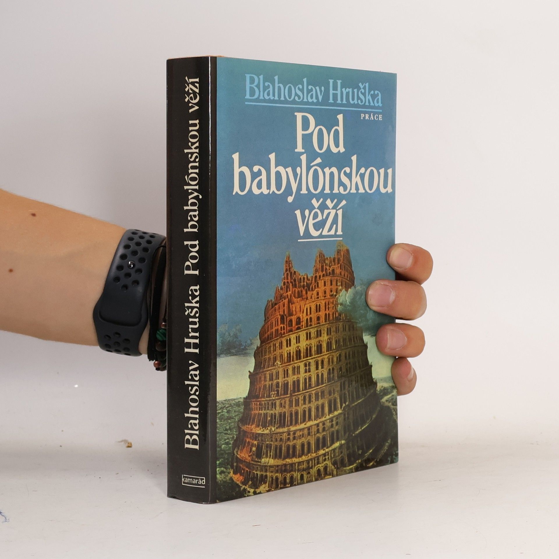 Blahoslav Hruška Pod babylónskou věží