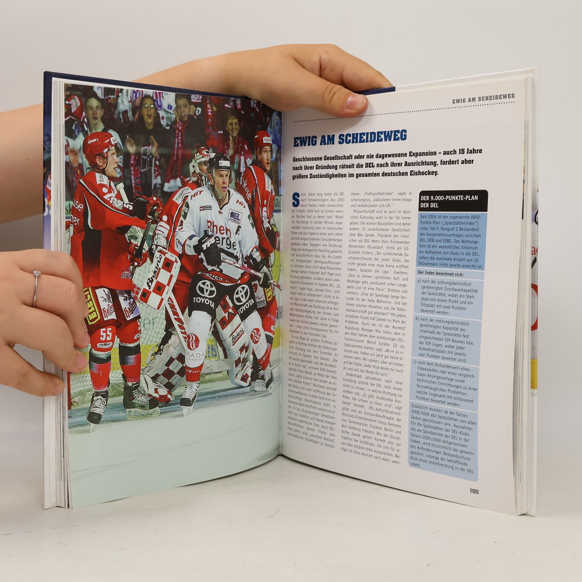 Daniel Stolpe Das offizielle Fanbuch des Deutschen Eishockeys