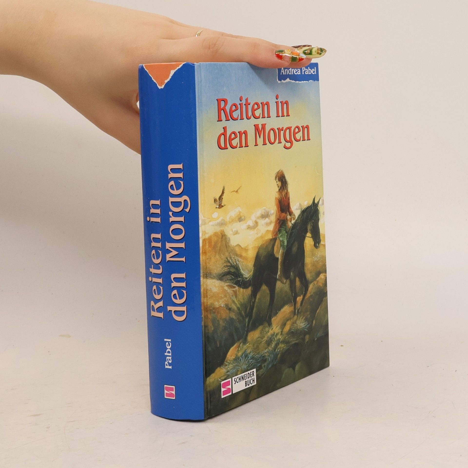 Reiten in den Morgen