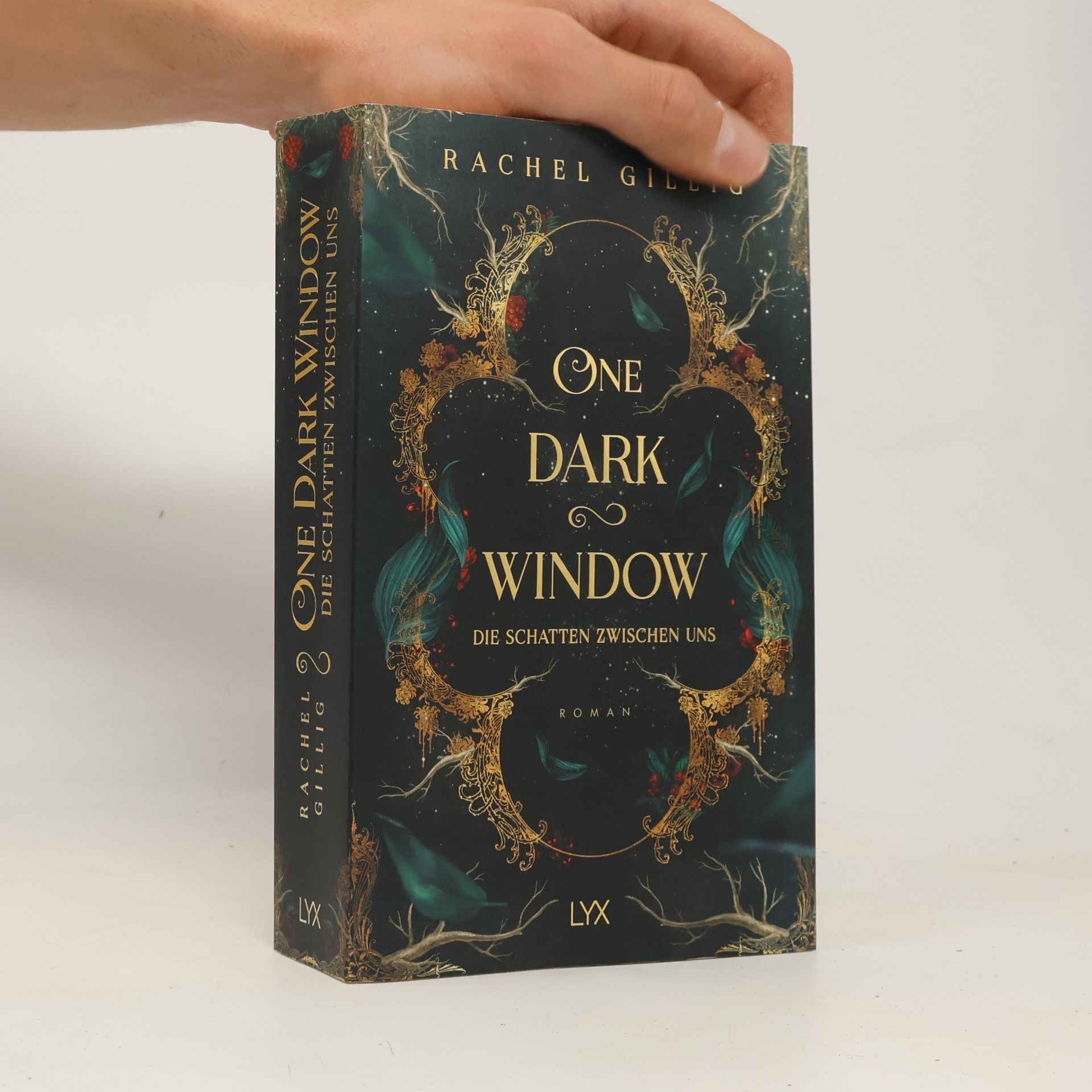Rachel Gillig One Dark Window - Die Schatten zwischen uns