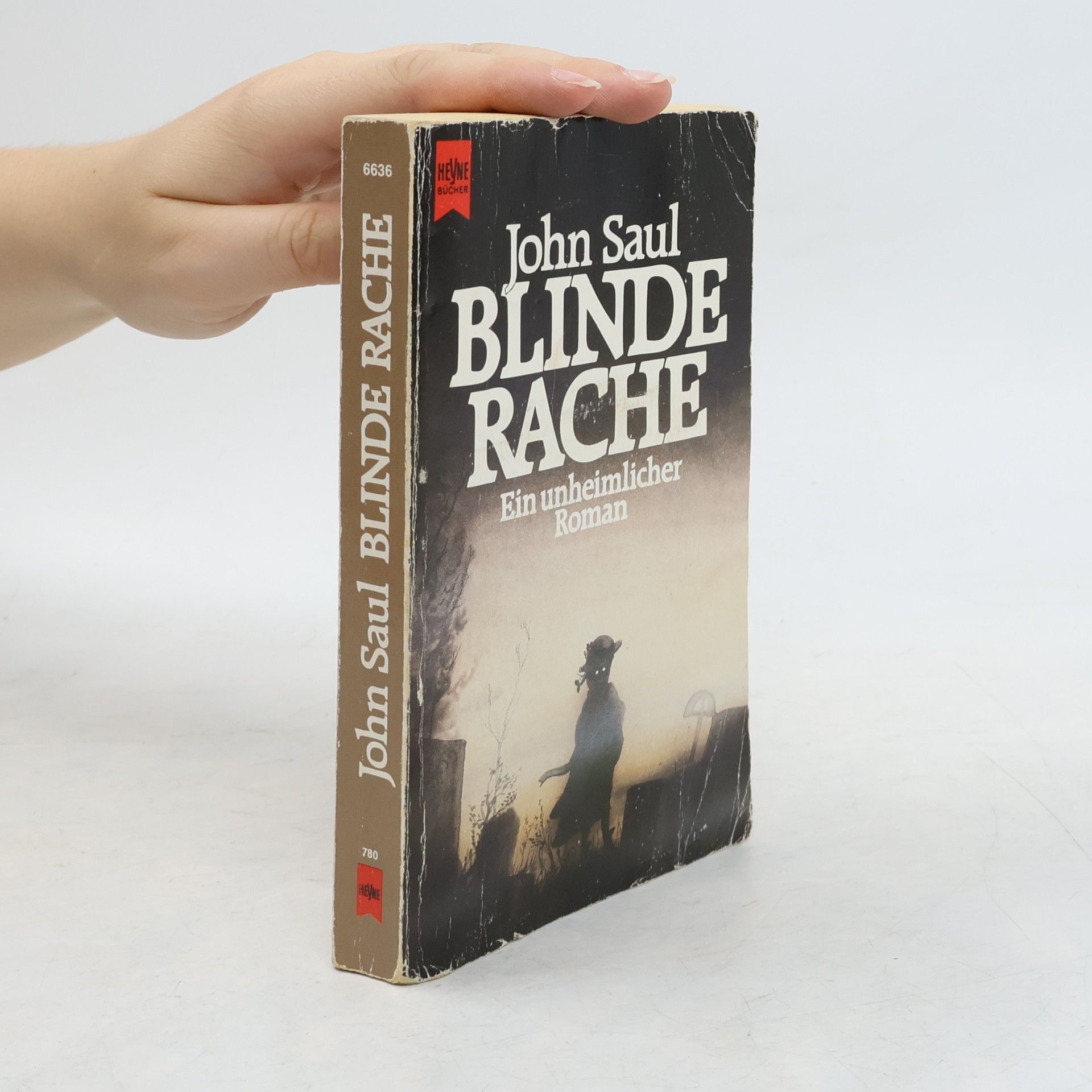 John Saul Blinde Rache
