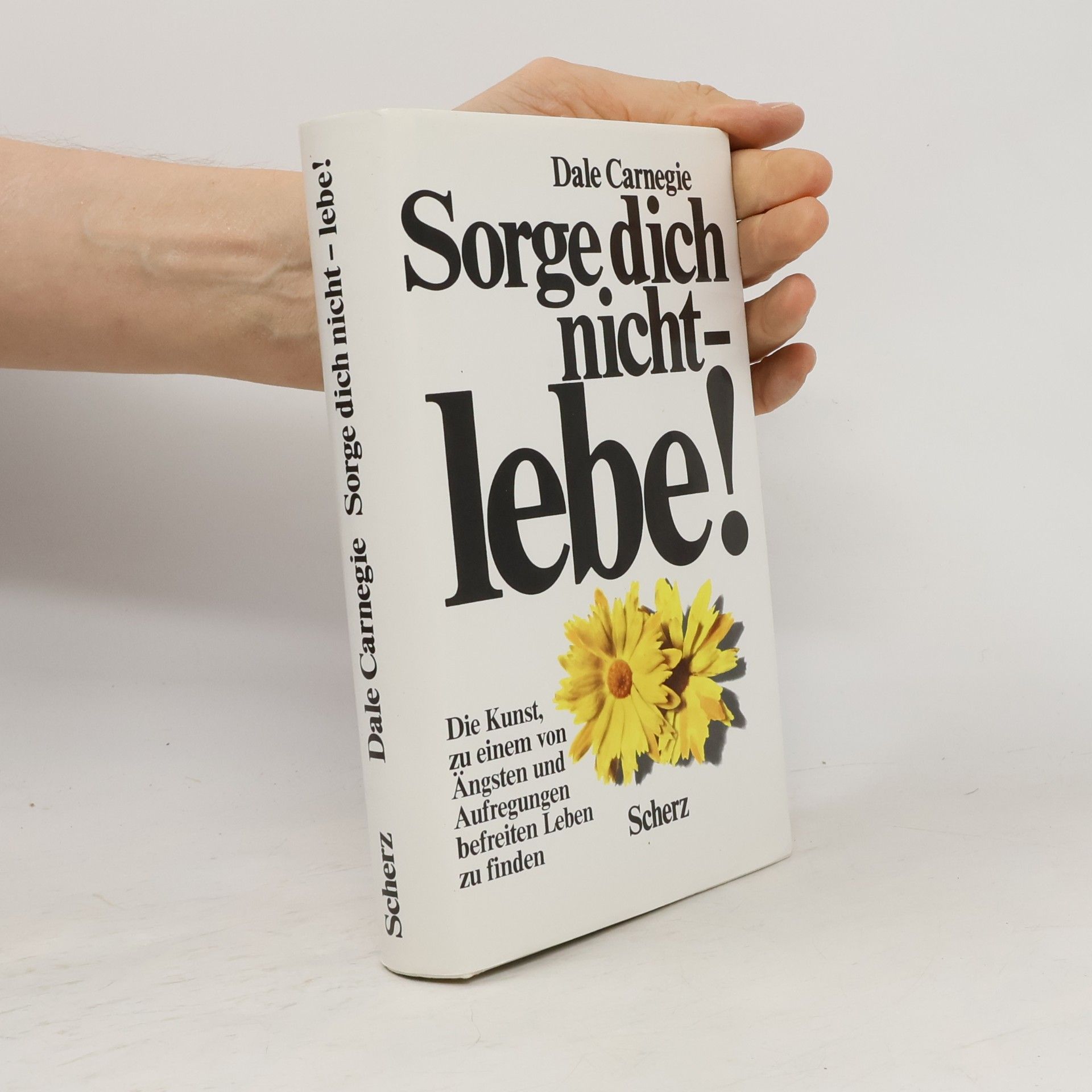 Dale Carnegie Sorge dich nicht - lebe!
