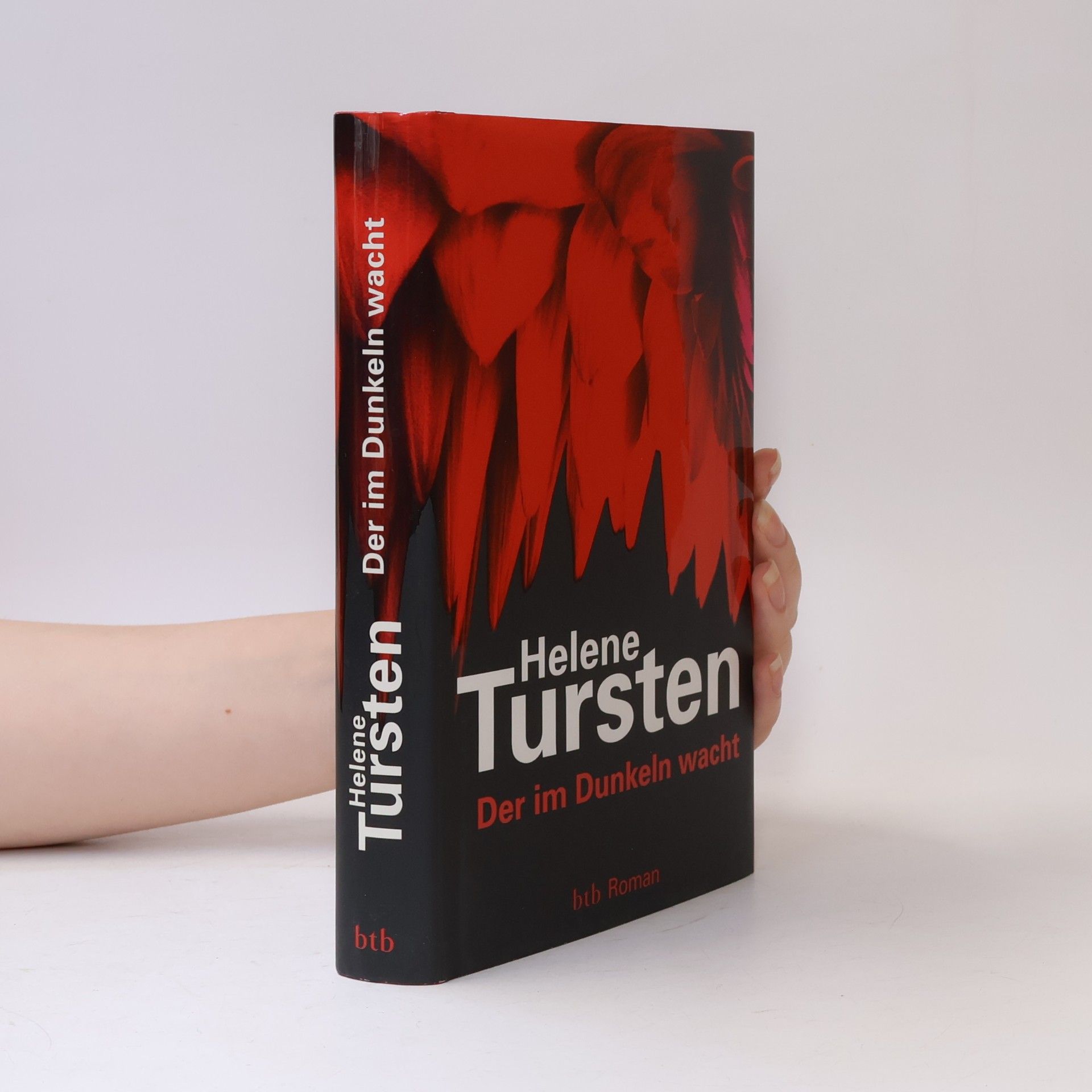 Helene Tursten Der im Dunkeln wacht