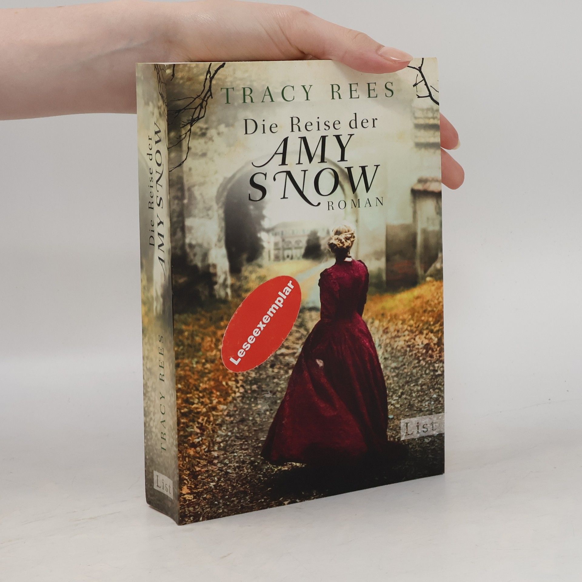 Tracy Rees Die Reise der Amy Snow