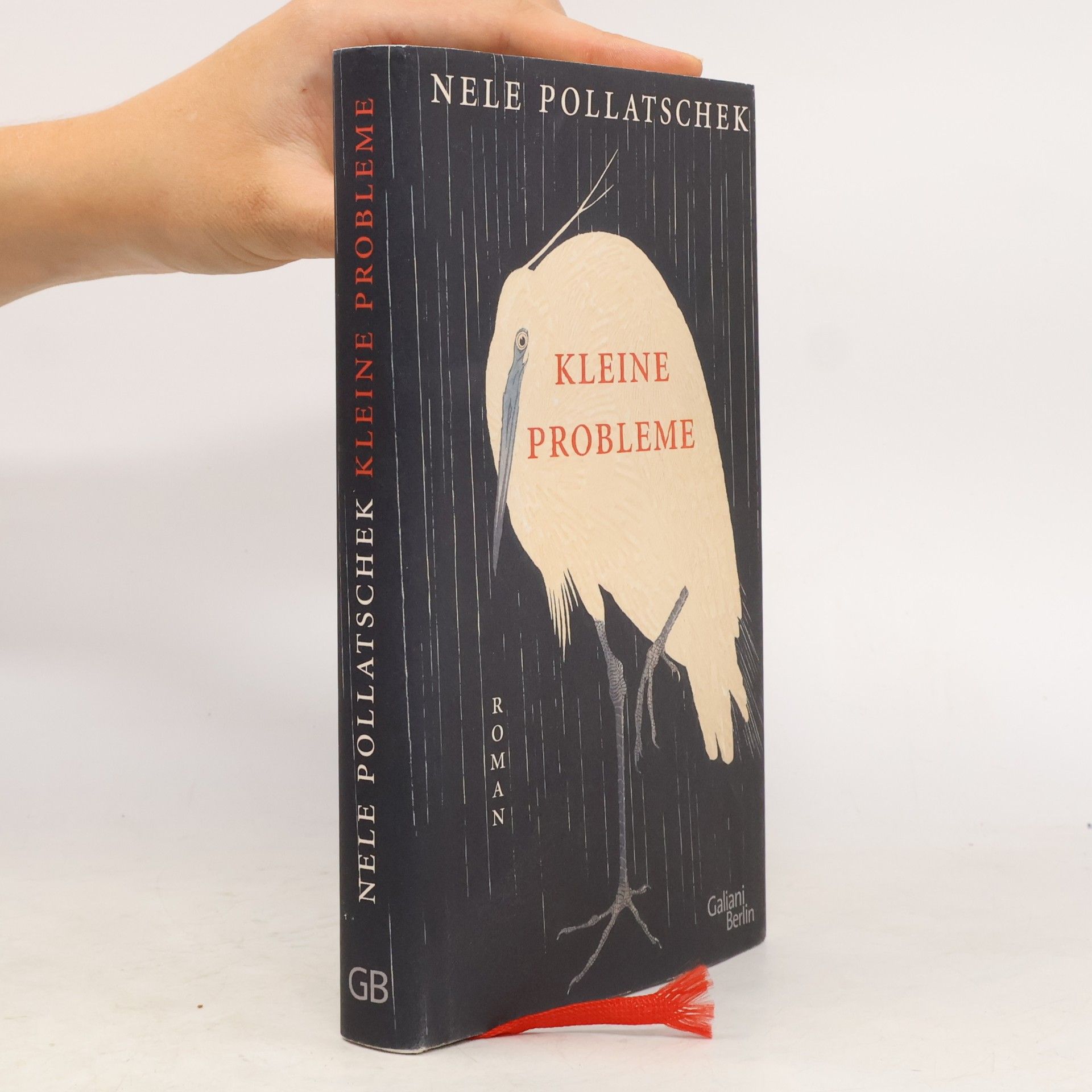 Nele Pollatschek Kleine Probleme