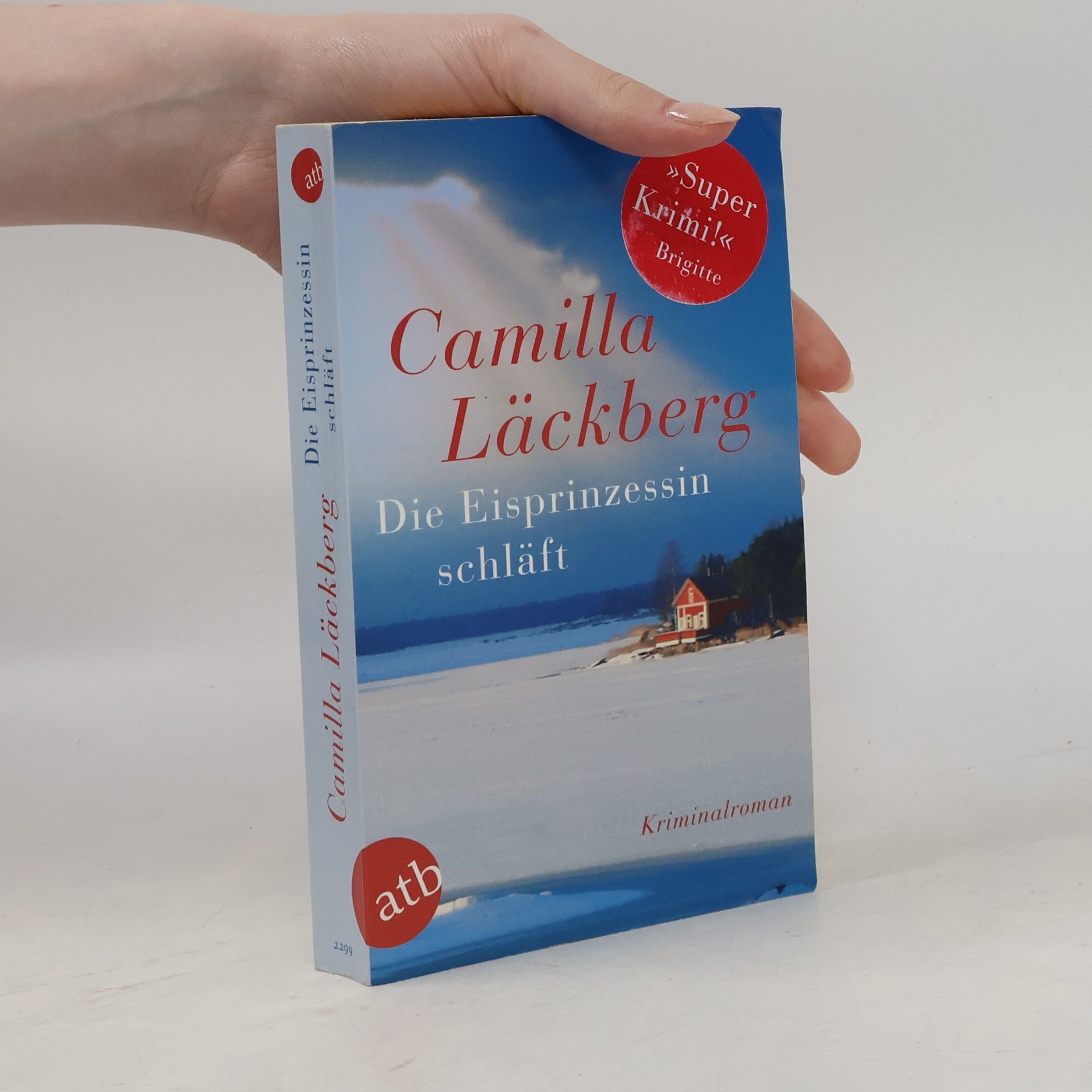Die Eisprinzessin schläft