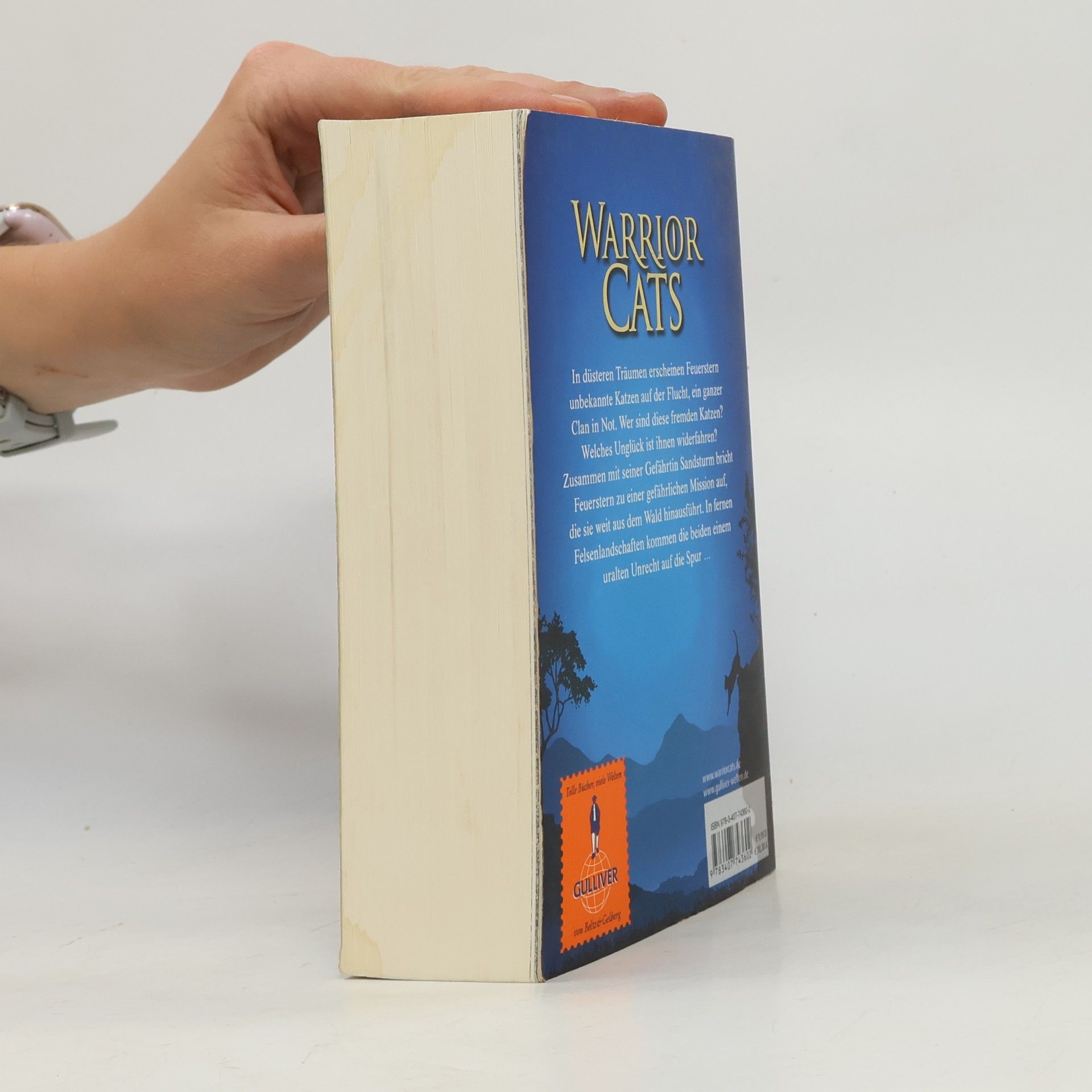 Erin Hunter Warrior Cats. Special Adventure. Feuersterns Mission