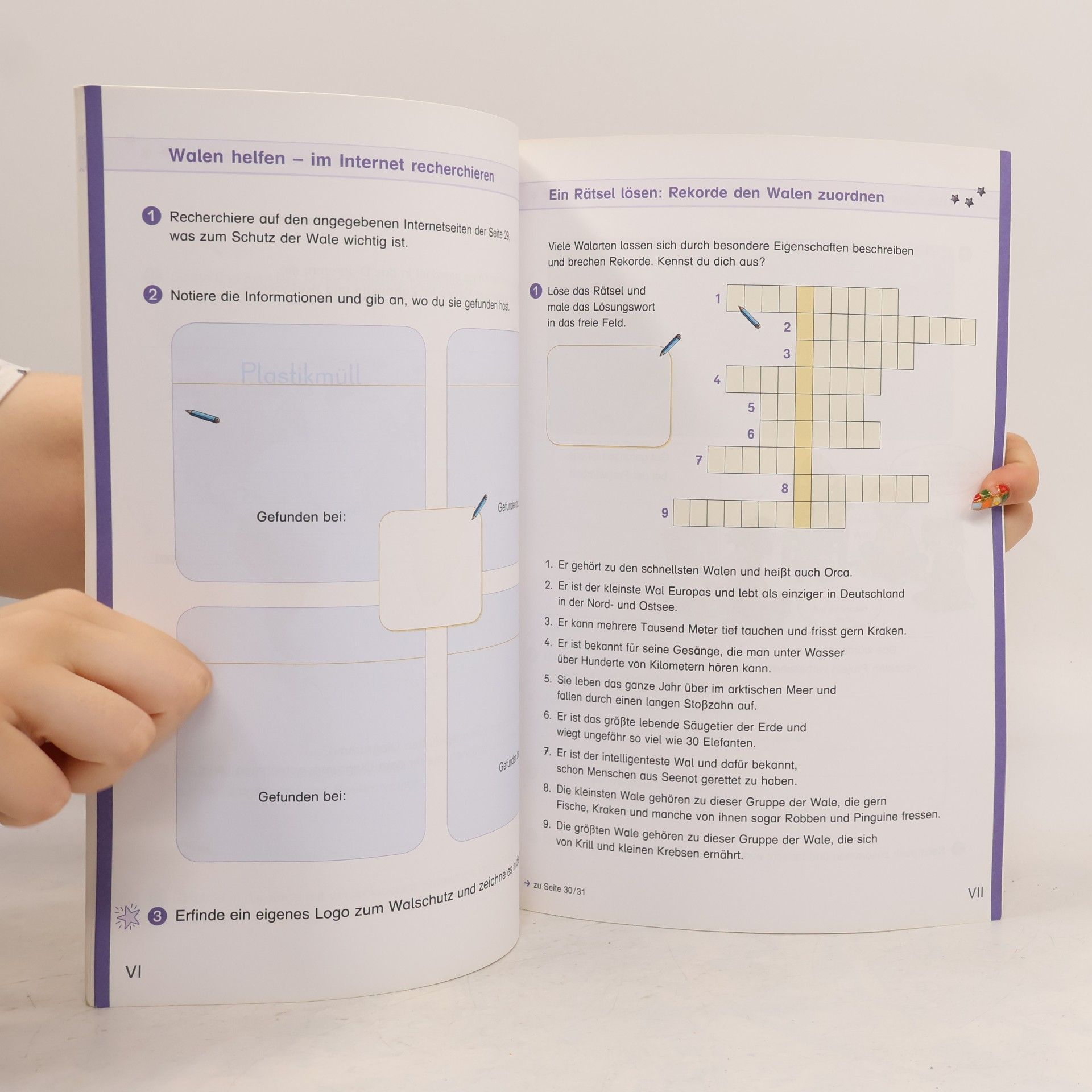 Annette Schumpp 3. Schuljahr, Projektheft Wale (Verbrauchsmaterial)