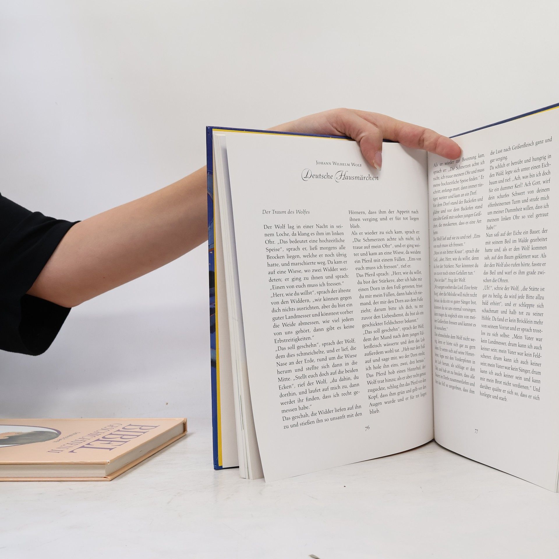 Iris Schürmann-Mock Das große Ravensburger Buch vom Träumen