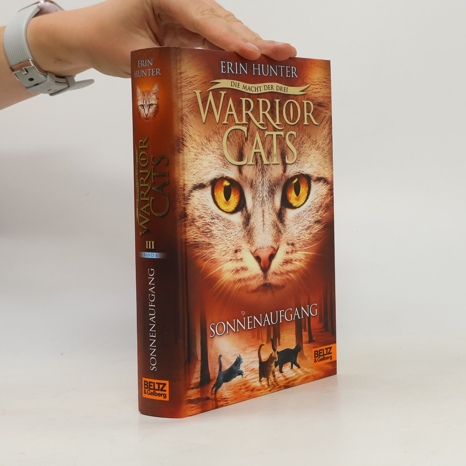 Erin Hunter Warrior Cats. Sonnenaufgang