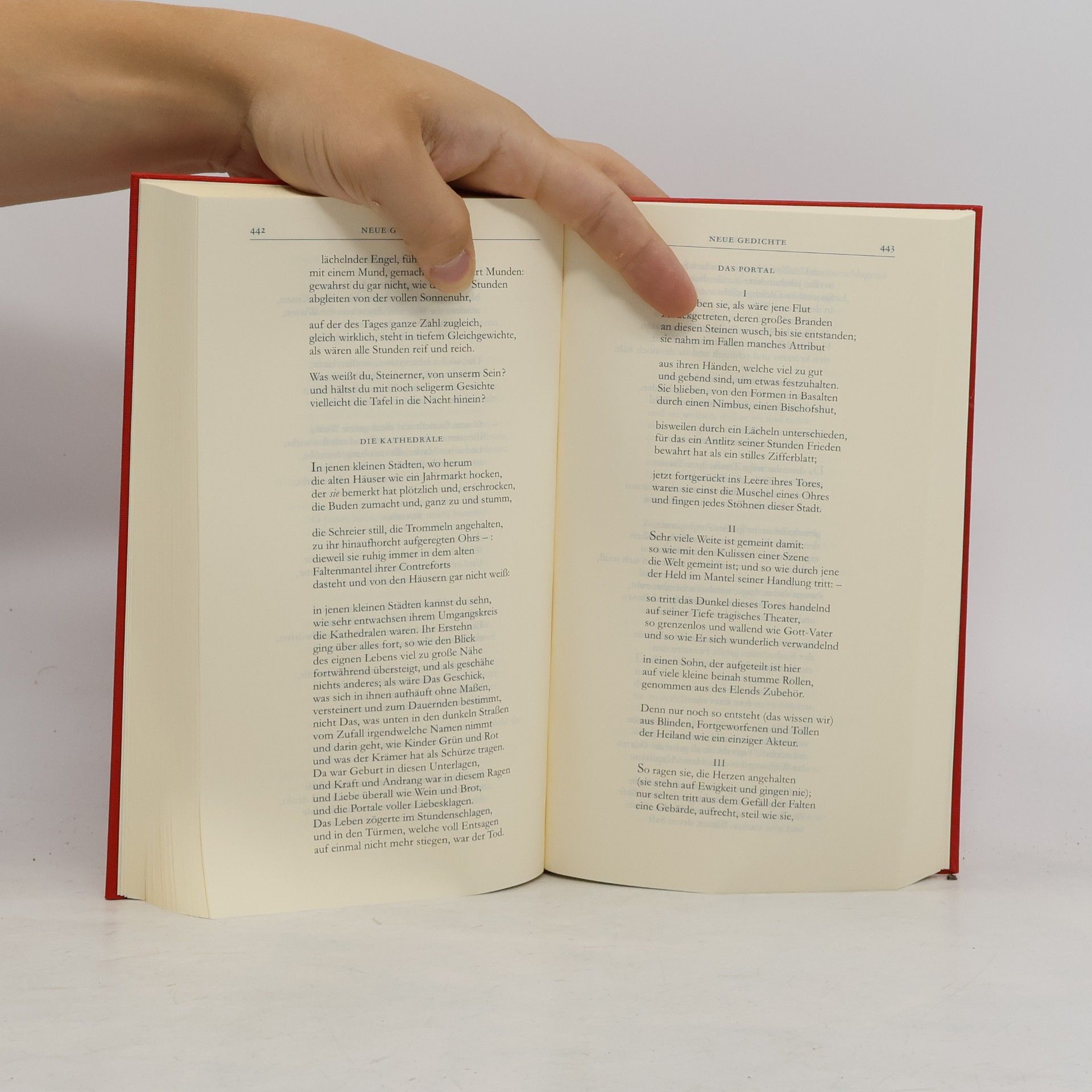 Rainer Maria Rilke Die Gedichte