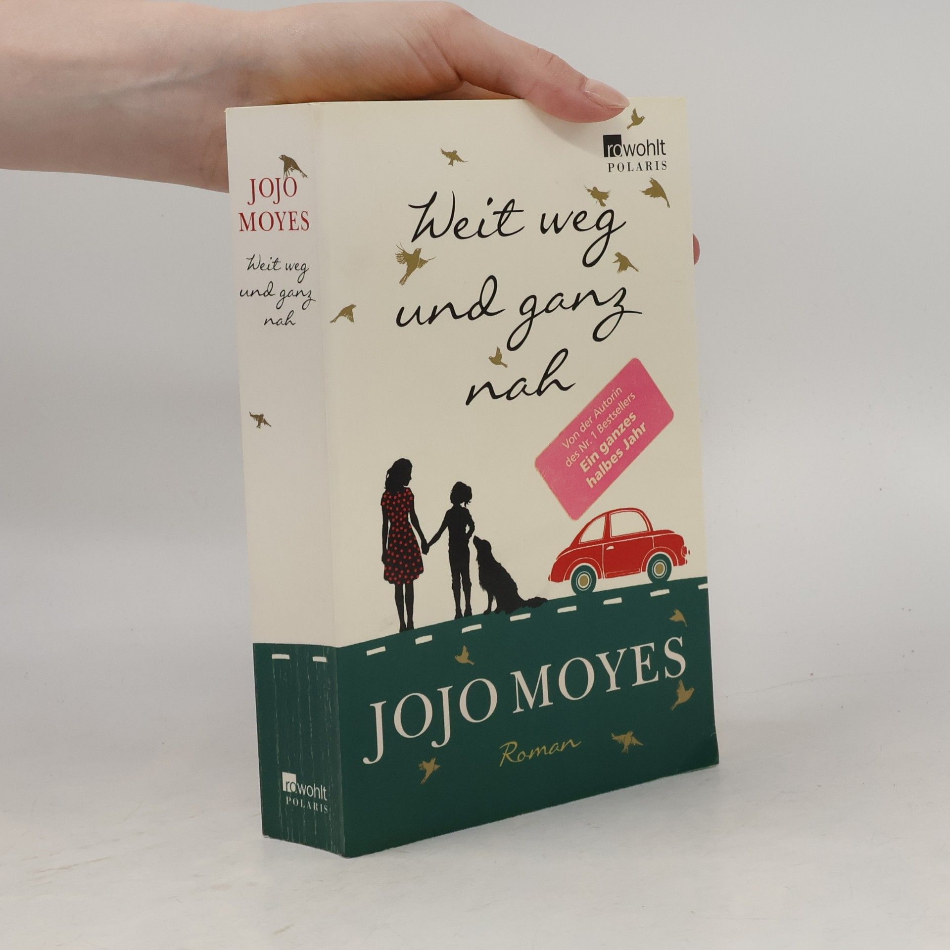 Jojo Moyes Weit weg und ganz nah