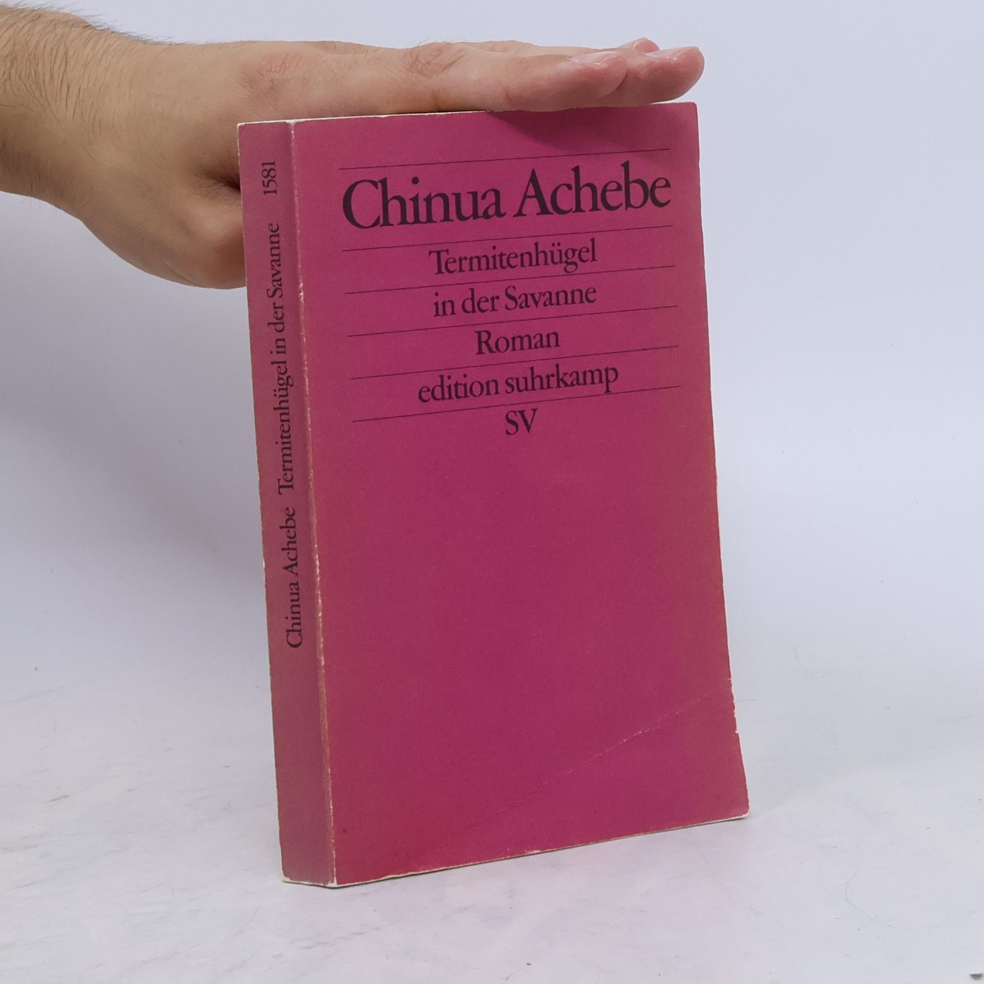 Chinua Achebe Termitenhügel in der Savanne