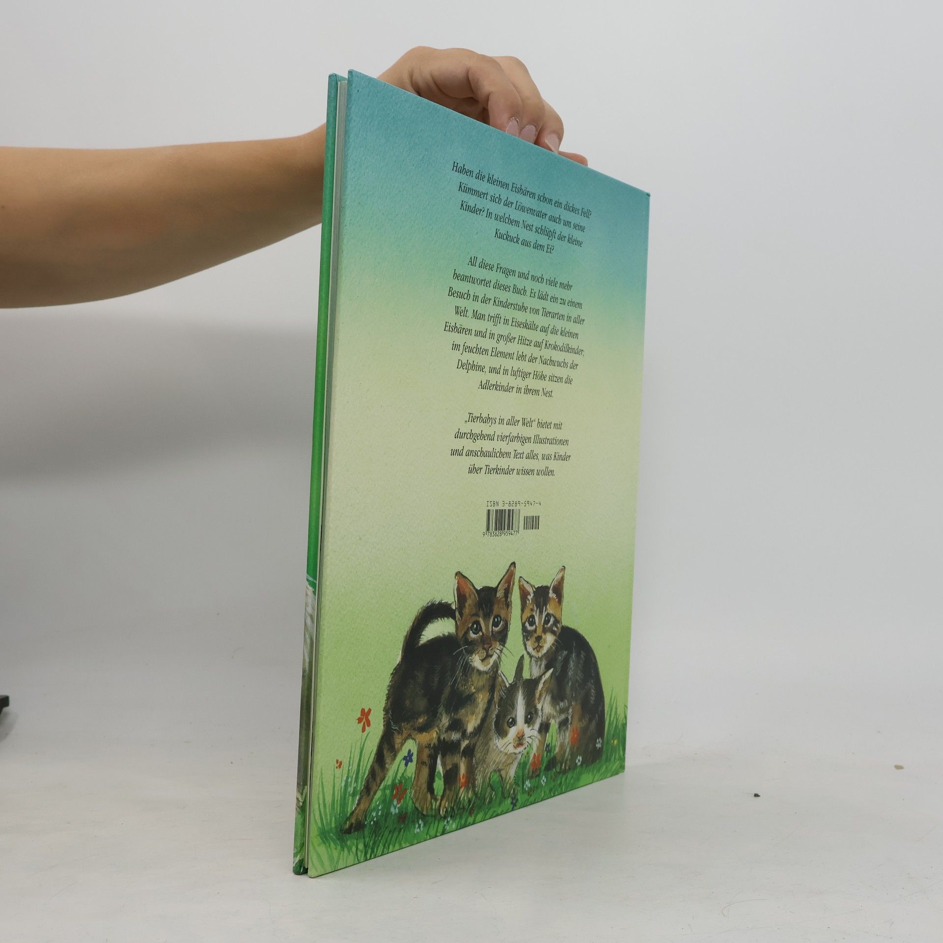 Michael Holtmann Tierbabys in aller Welt