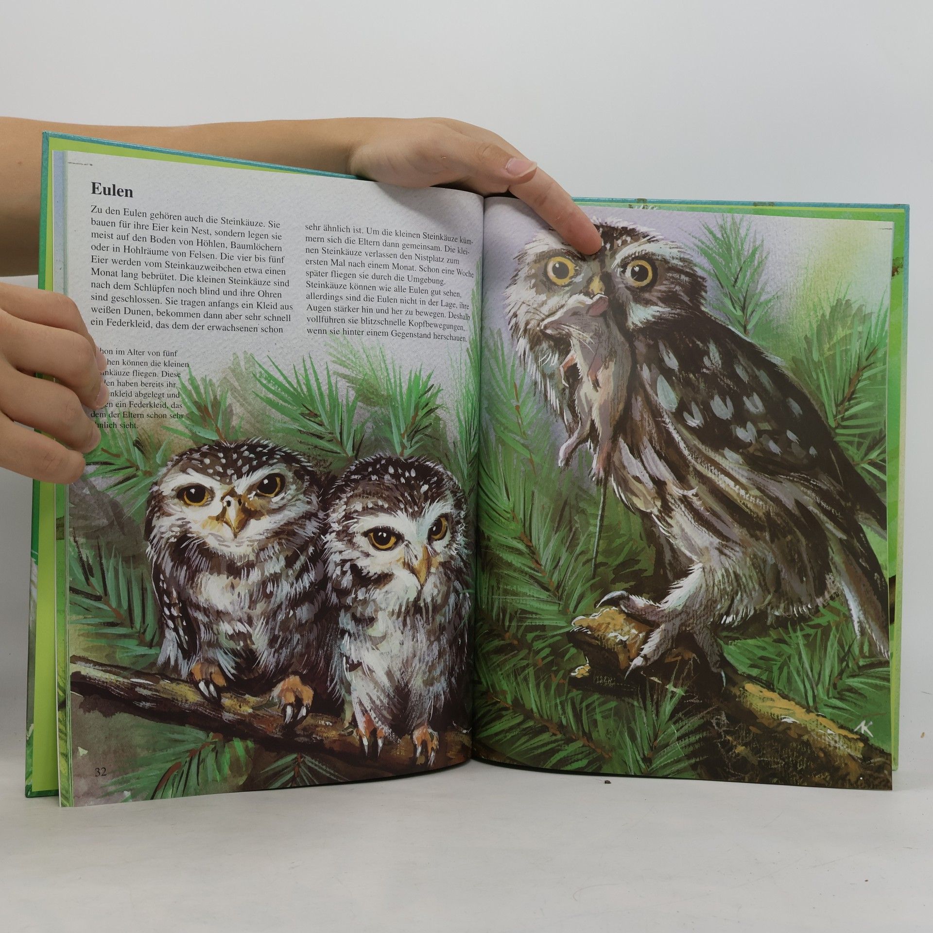 Michael Holtmann Tierbabys in aller Welt
