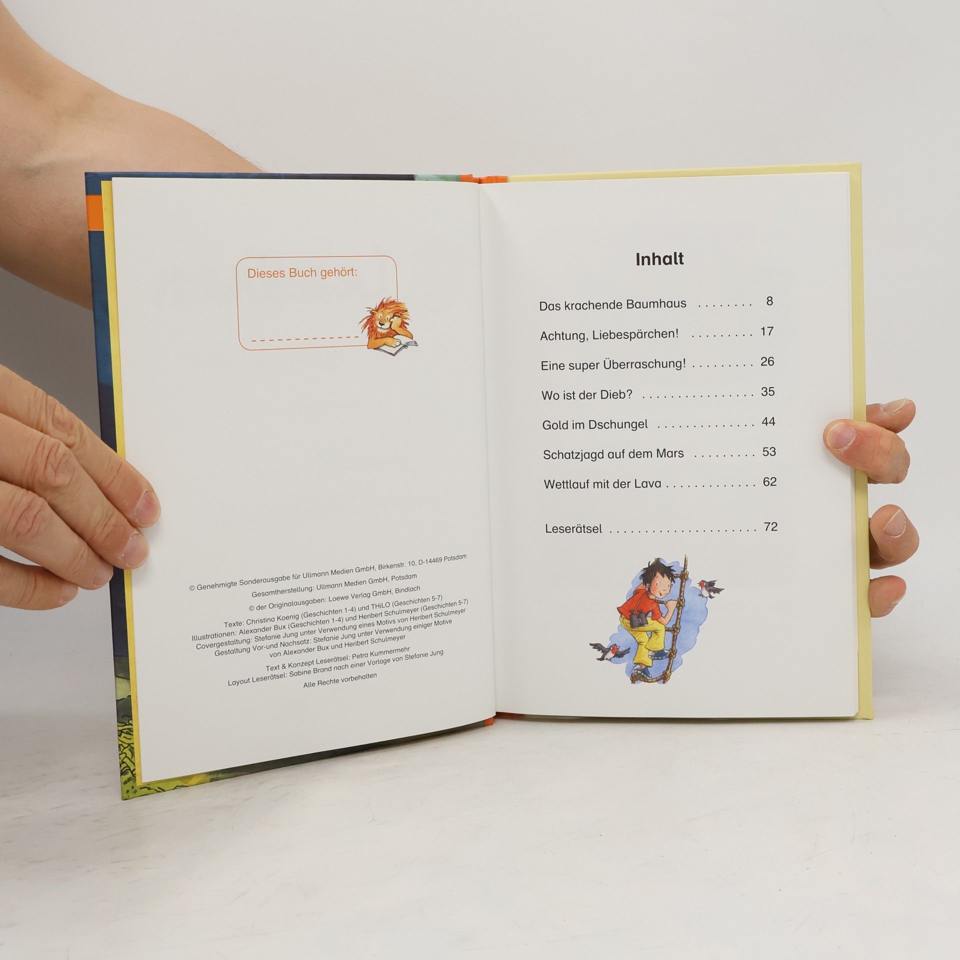 Autorenkollektiv Leselöwen Abenteuergeschichten