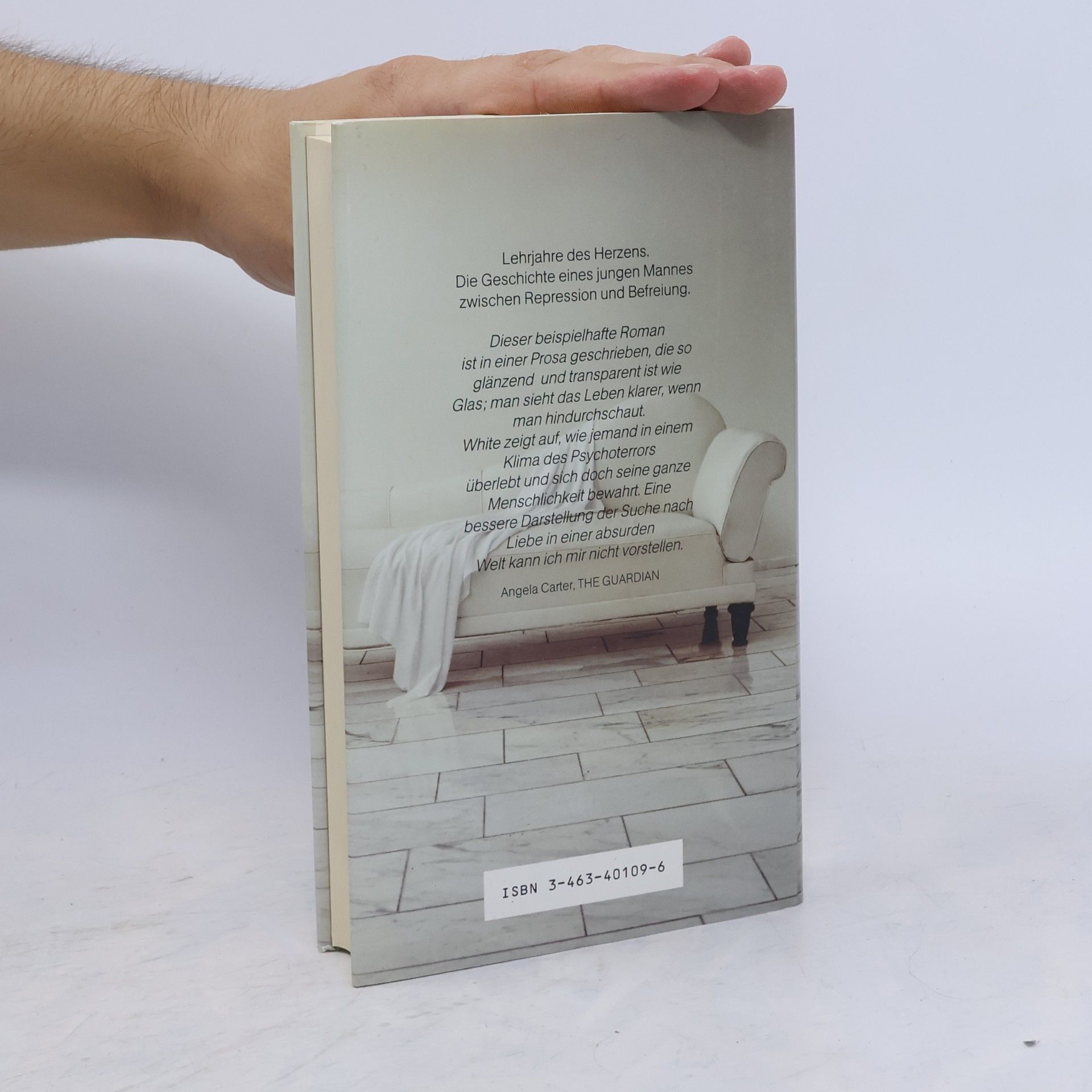 Edmund White Und das schöne Zimmer ist leer