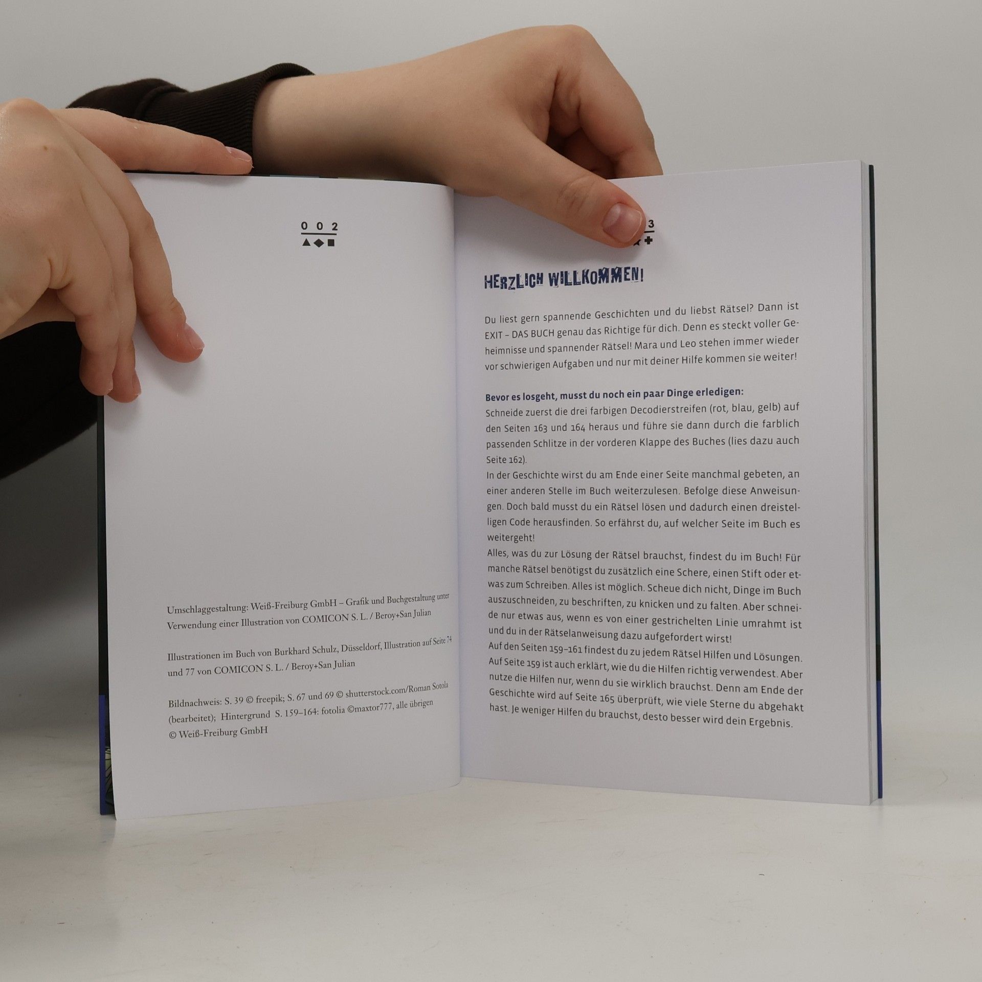 Inka Brand Exit. Das Buch: Der rätselhafte Bankraub