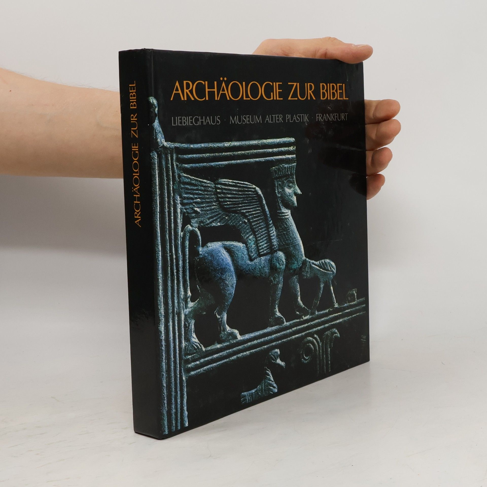 Archäologie zur Bibel