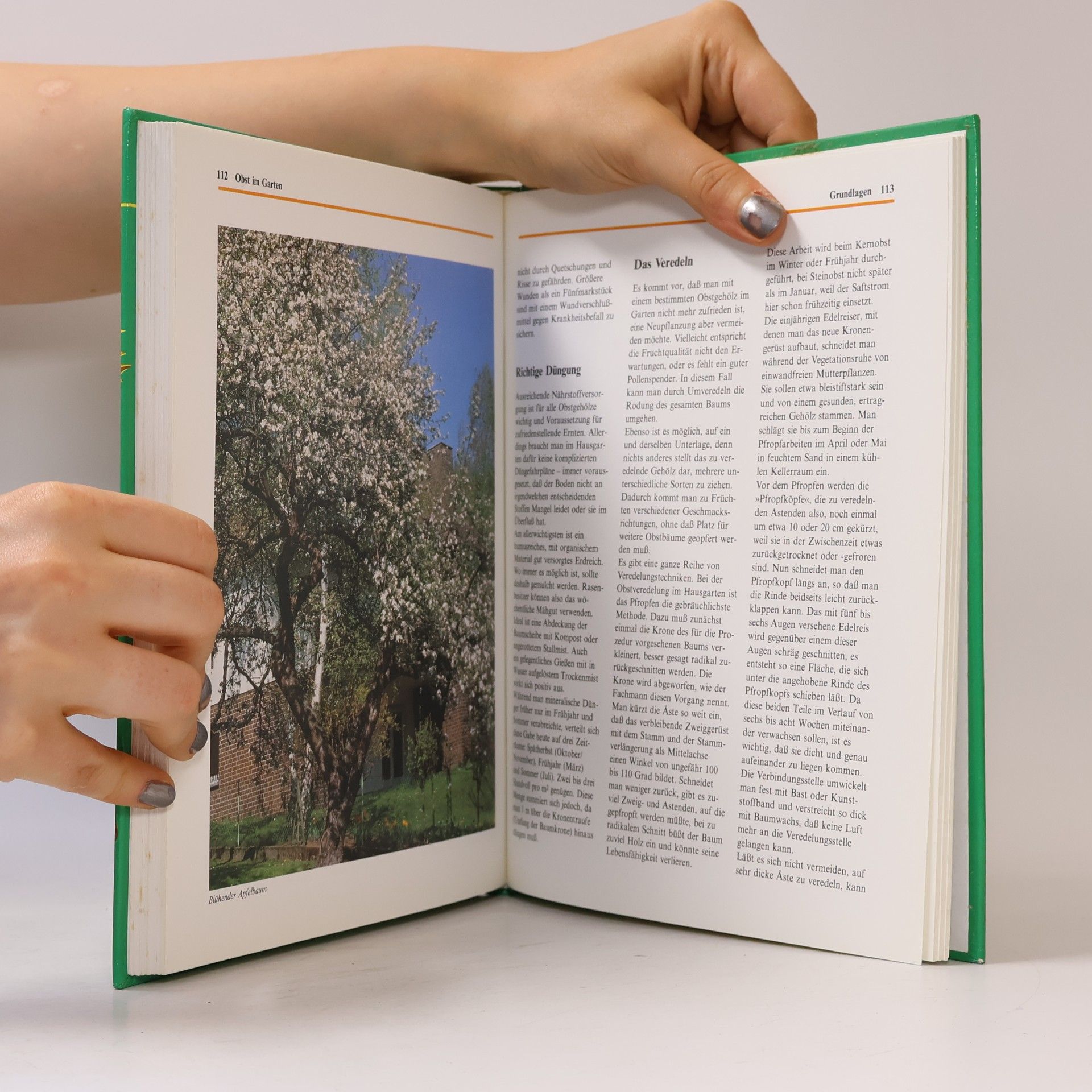 Various authors Das große Gartenbuch