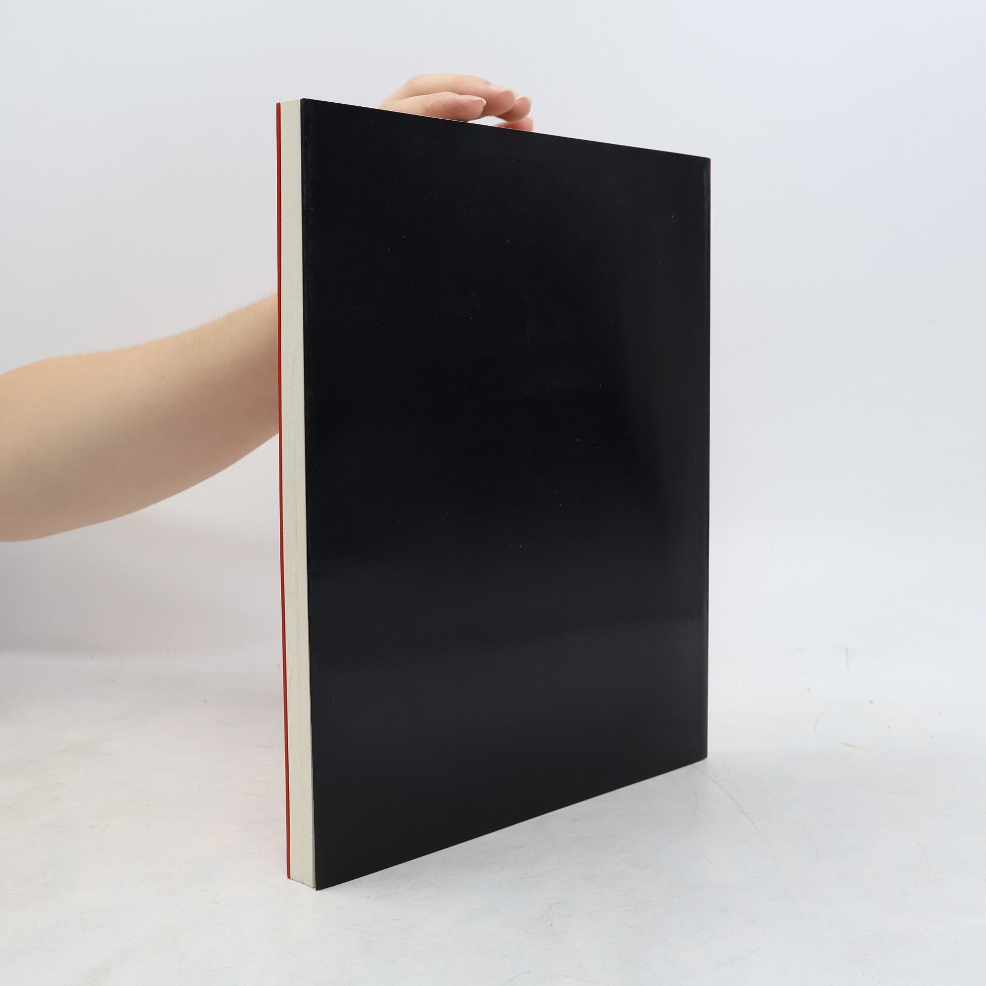 Carla Schulz Hoffmann Lucio Fontana