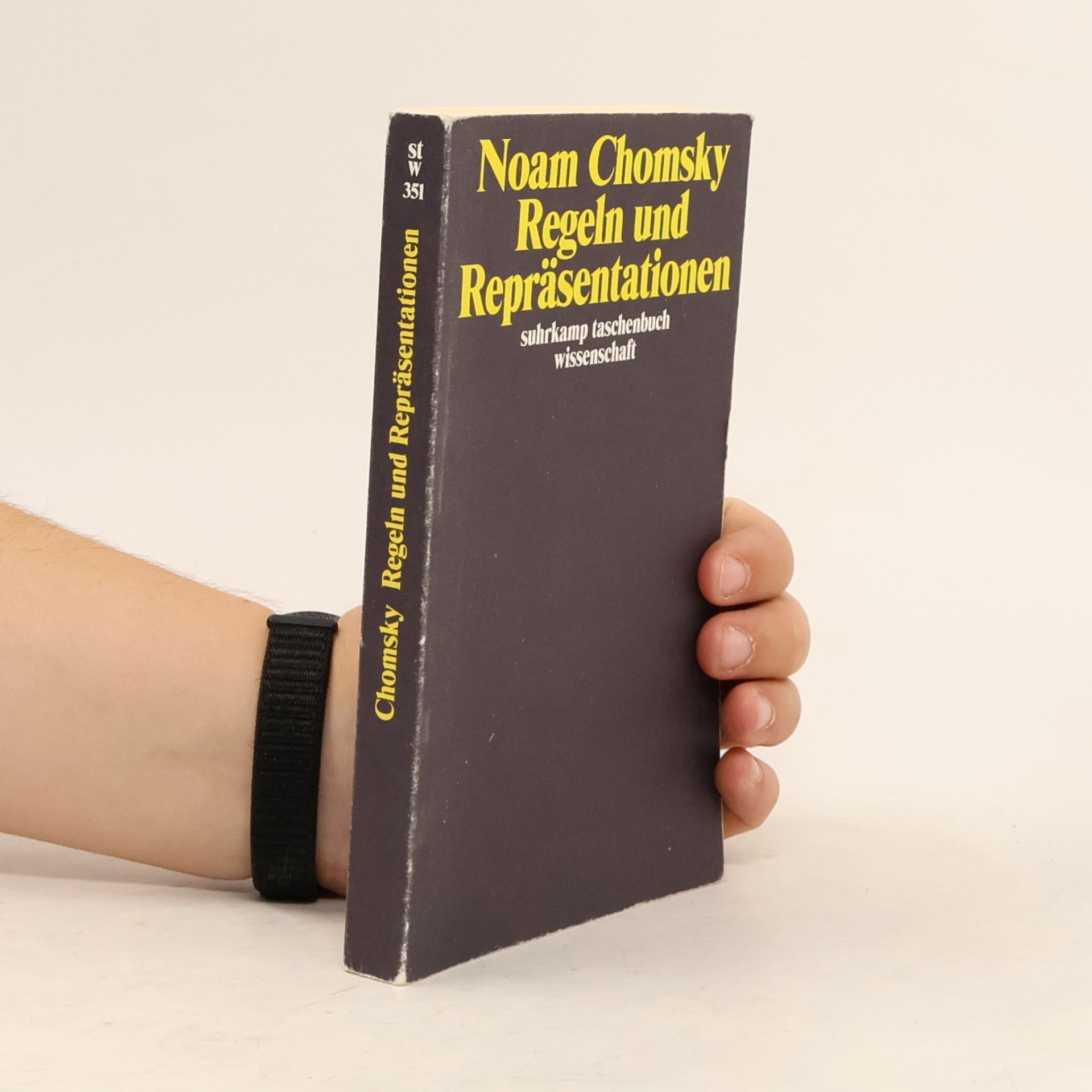 Noam Chomsky Suhrkamp Taschenbuch Wissenschaft - 351: Regeln und Repräsentationen