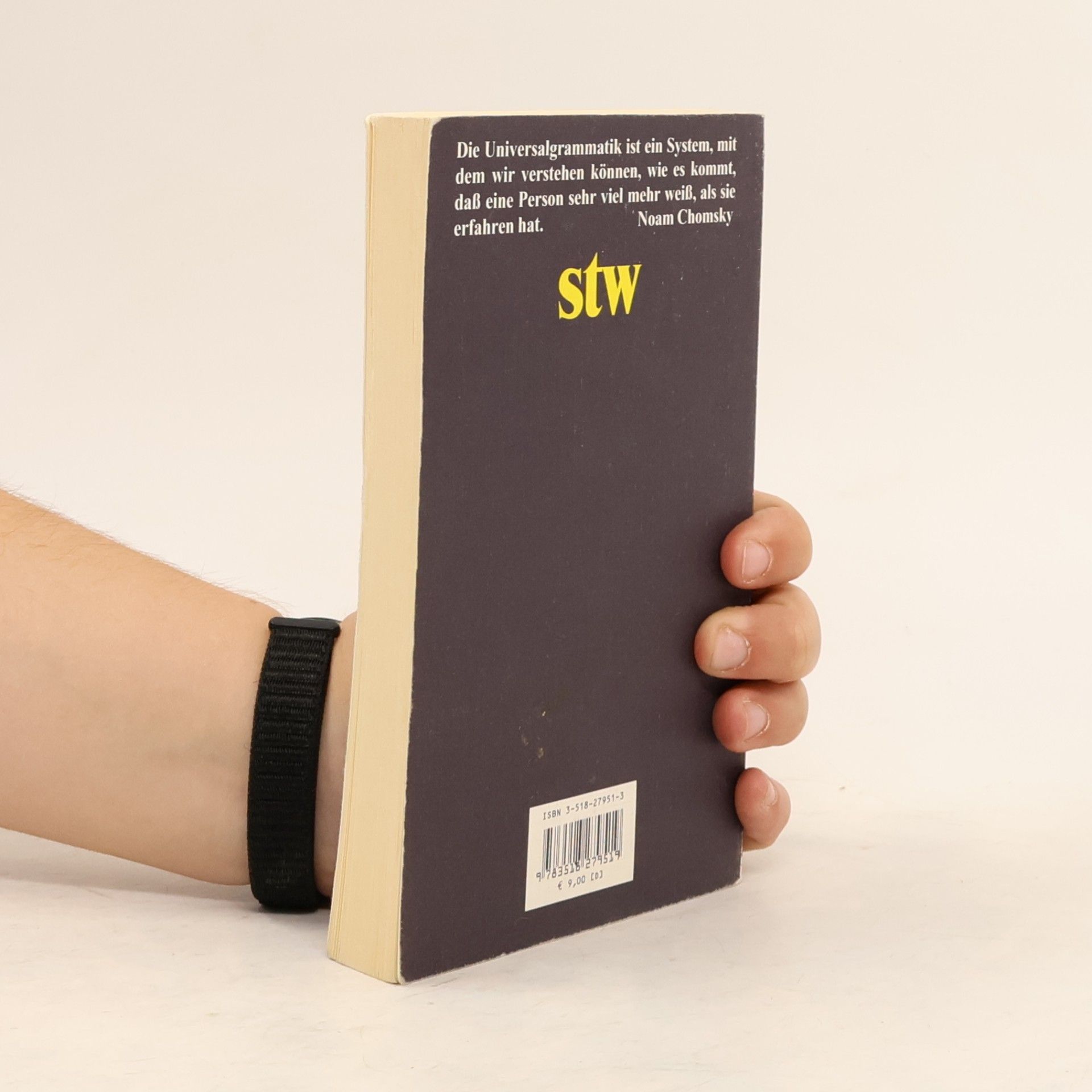Noam Chomsky Suhrkamp Taschenbuch Wissenschaft - 351: Regeln und Repräsentationen