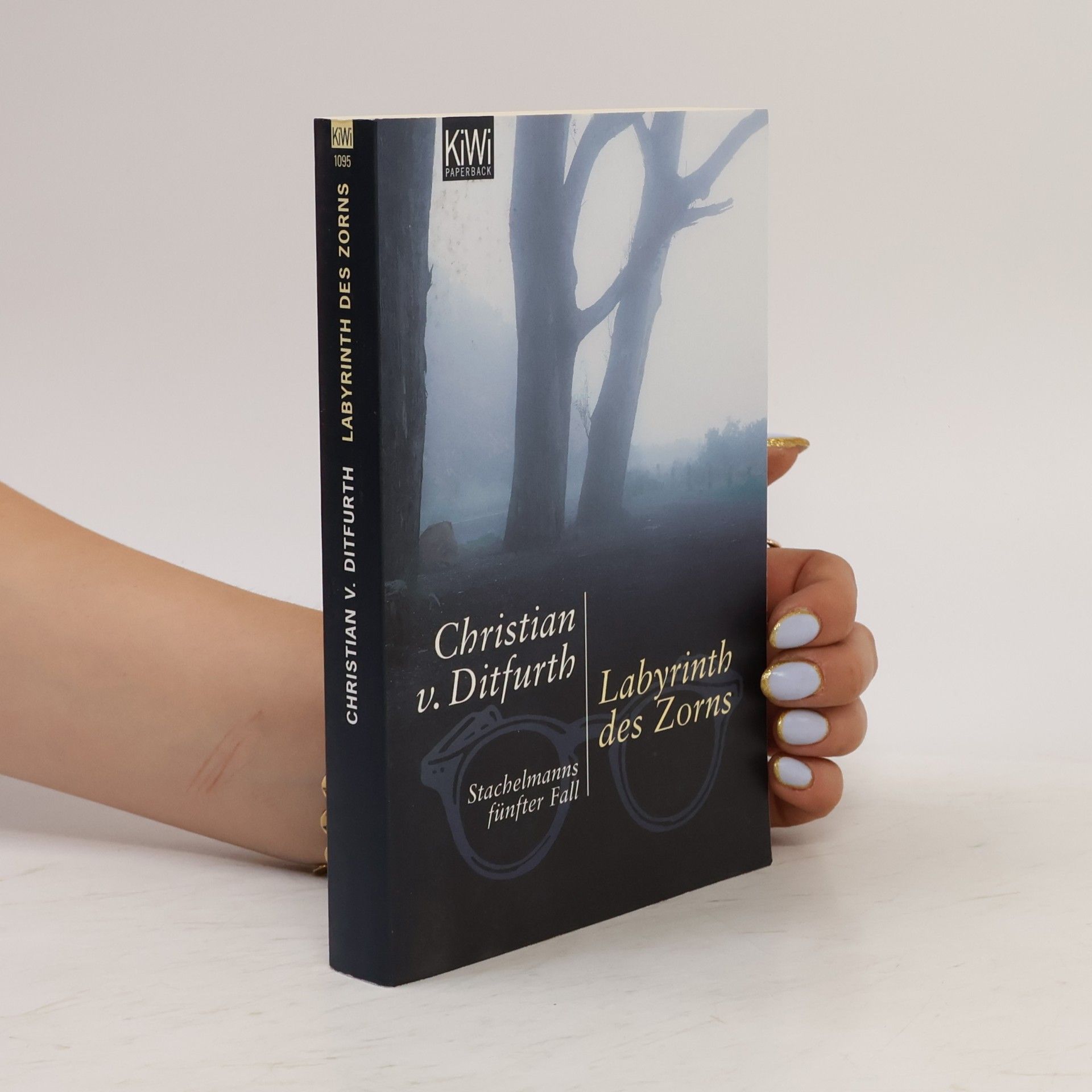 Christian von Ditfurth Labyrinth des Zorns