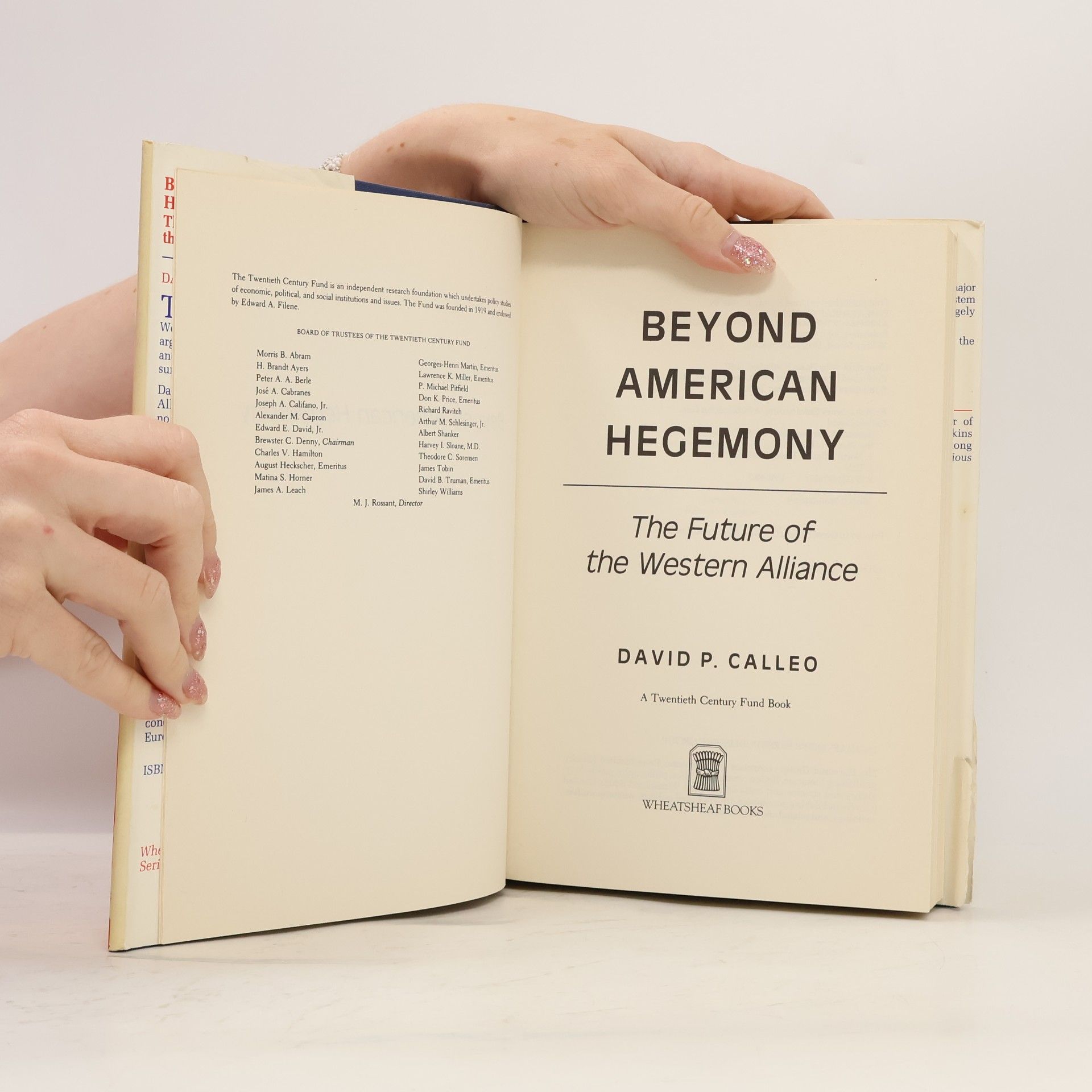 David P. Calleo Beyond American Hegemony