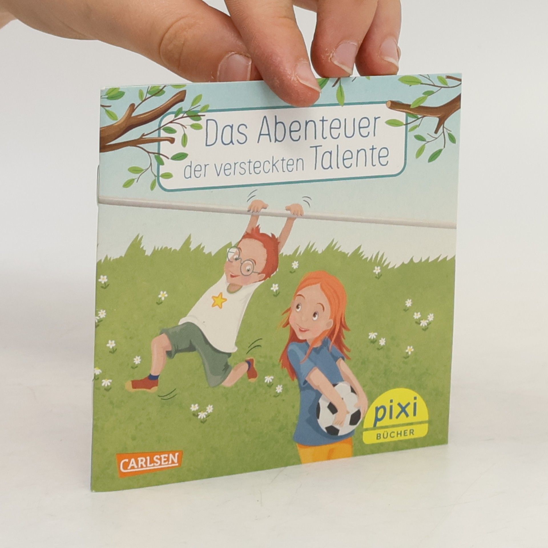 Various authors Das Abenteuer der versteckten Talente