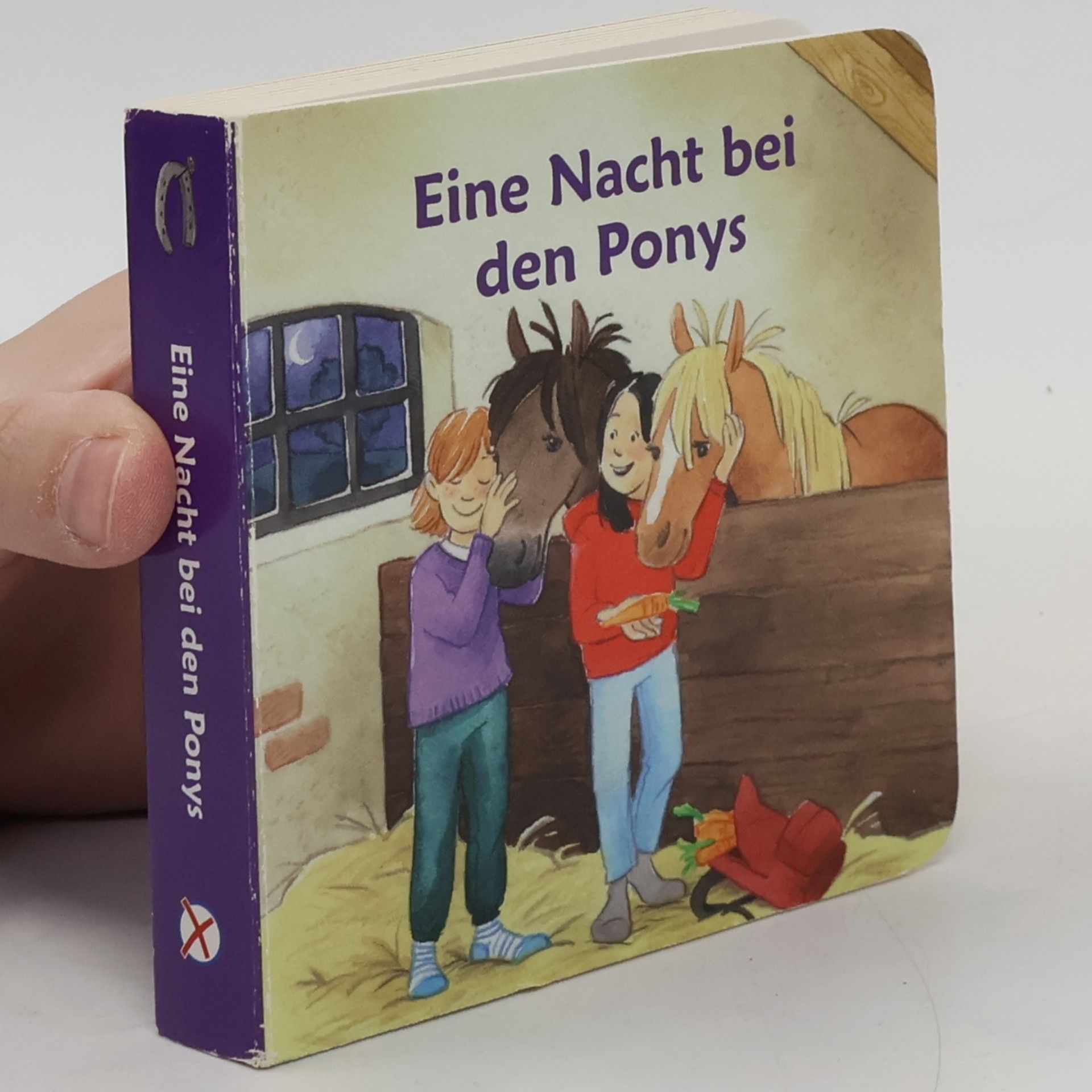 Eine Nacht bei den Ponys