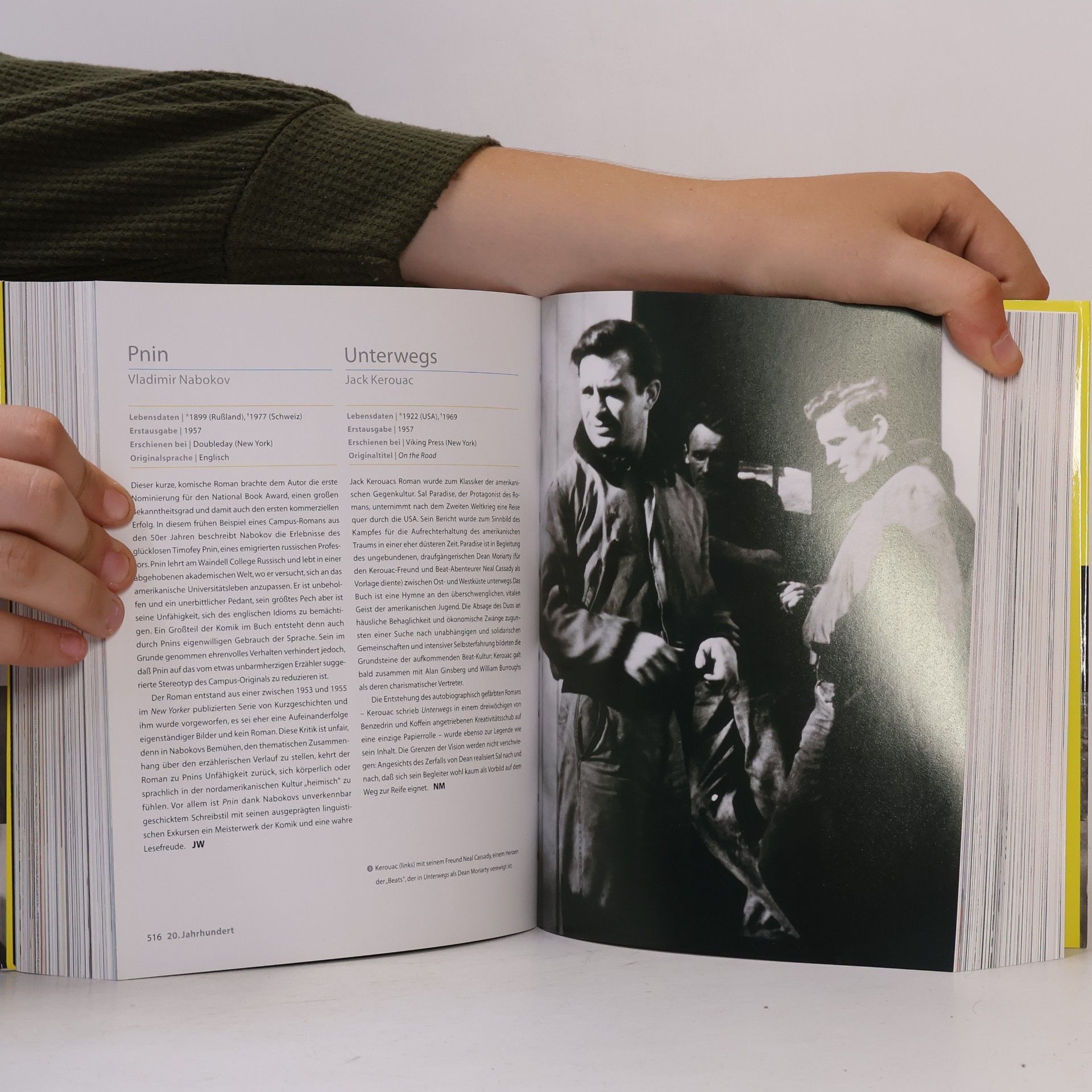 Peter Boxall 1001 Bücher