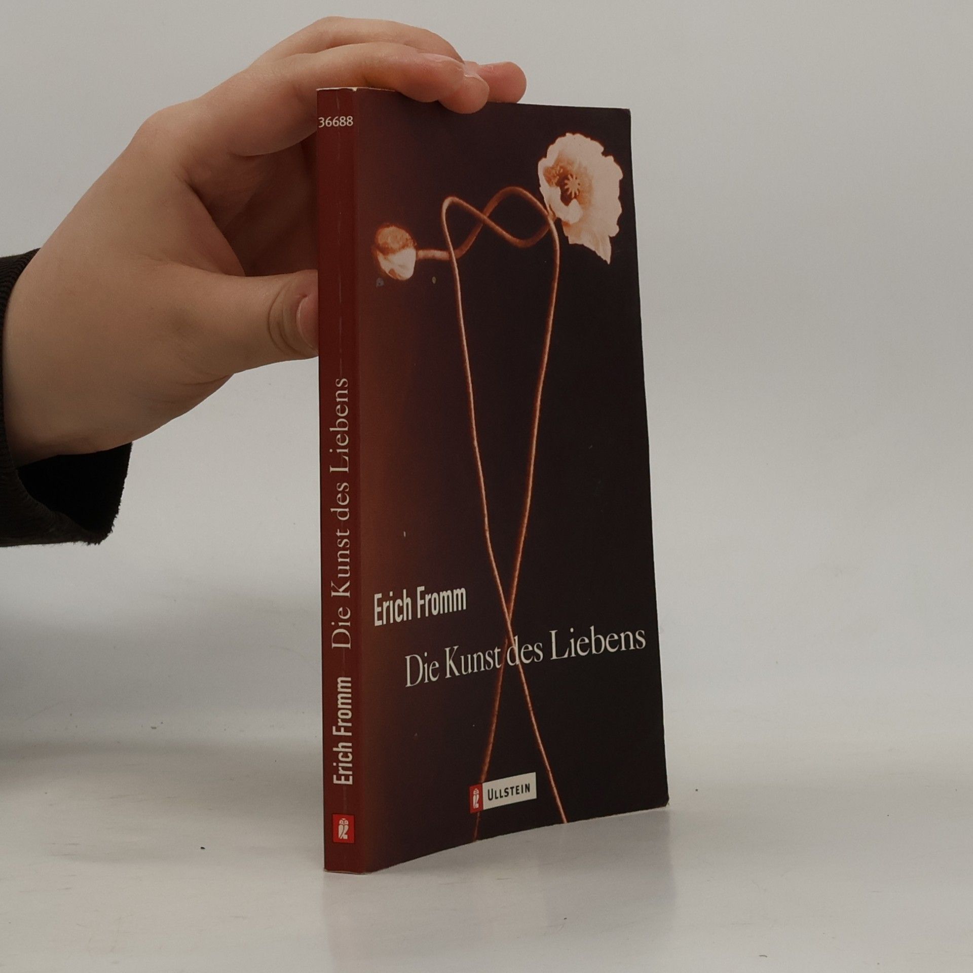Erich Fromm Die Kunst des Liebens