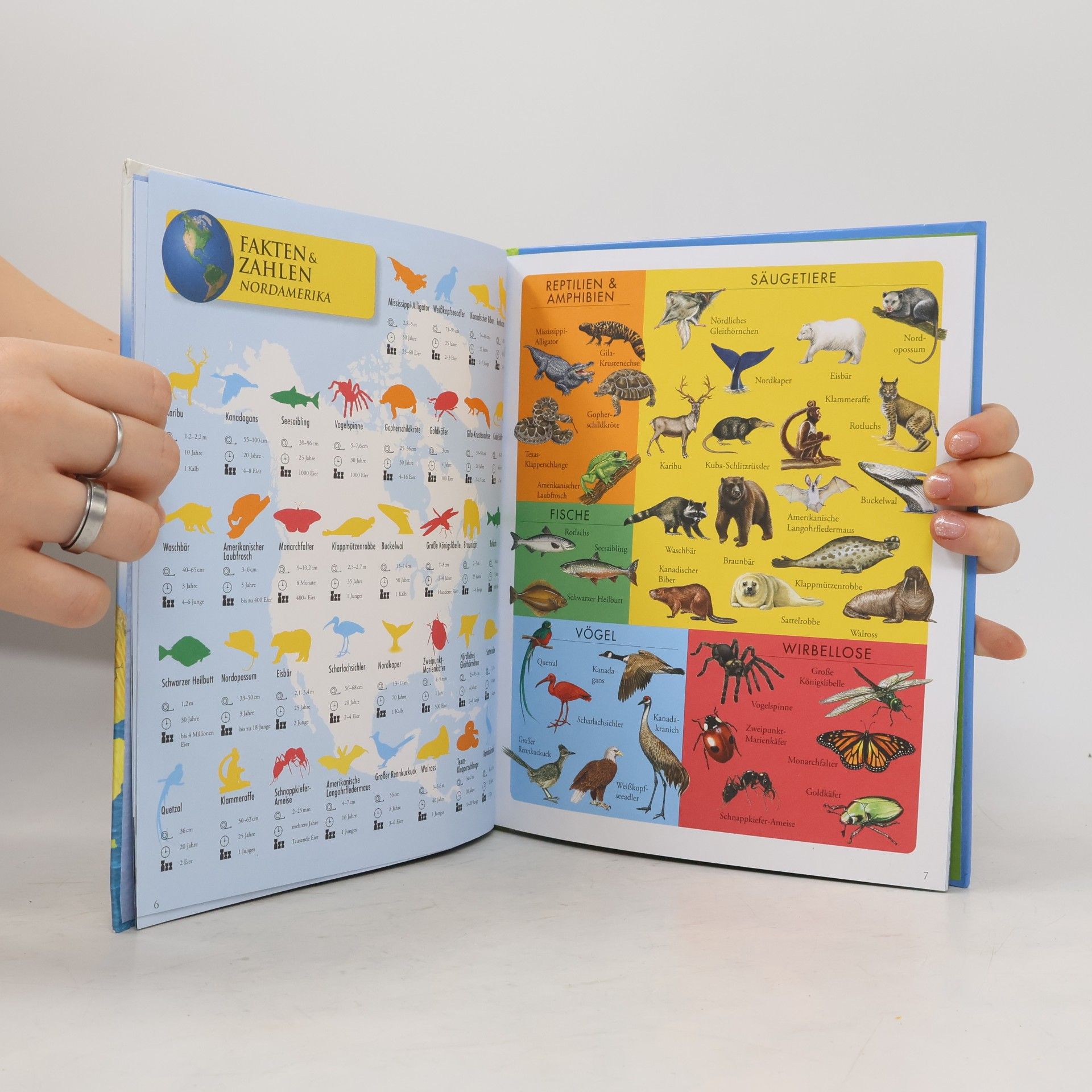 Marie Greenwooed Kinder Tieratlas