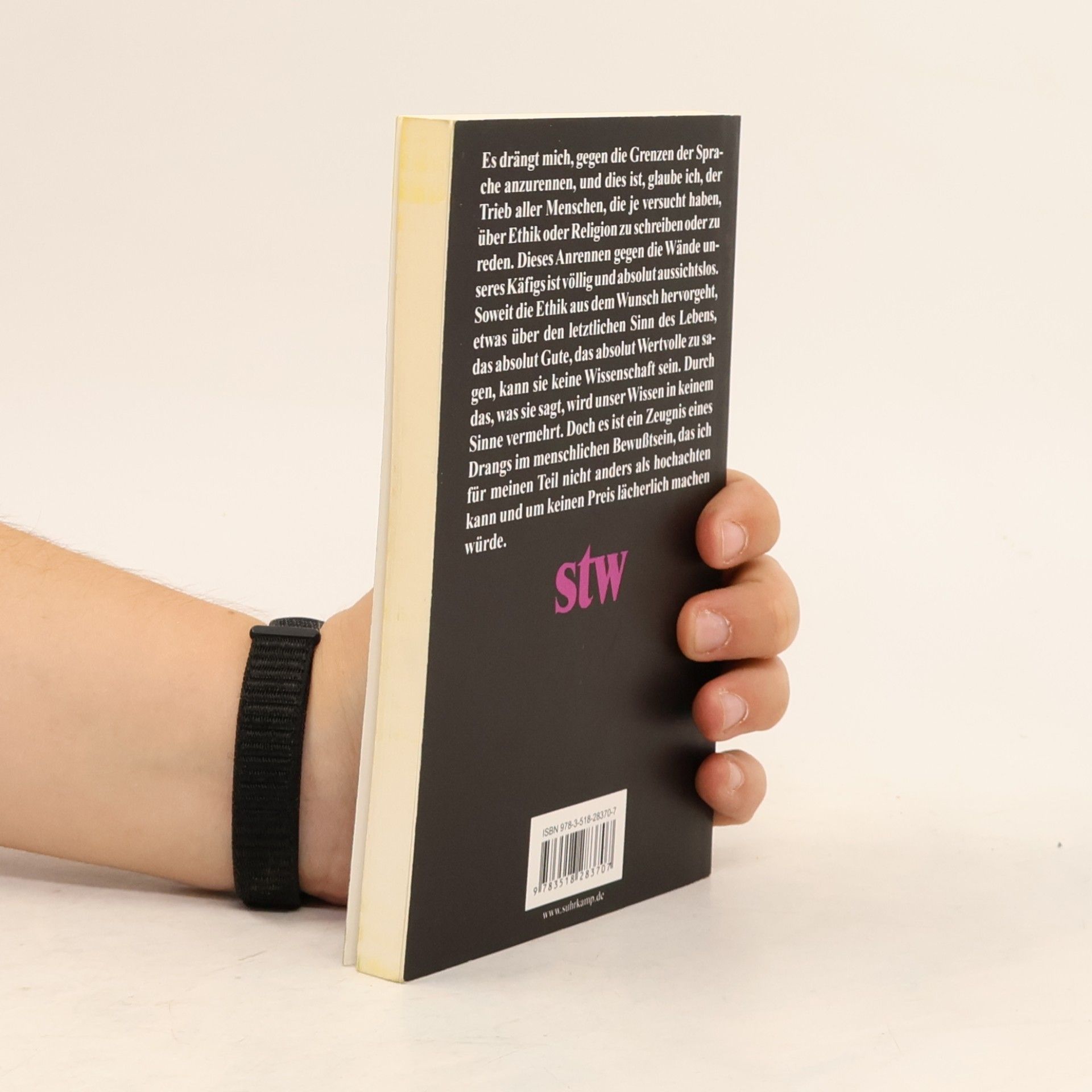 Ludwig Wittgenstein Vortrag über Ethik und andere kleine Schriften