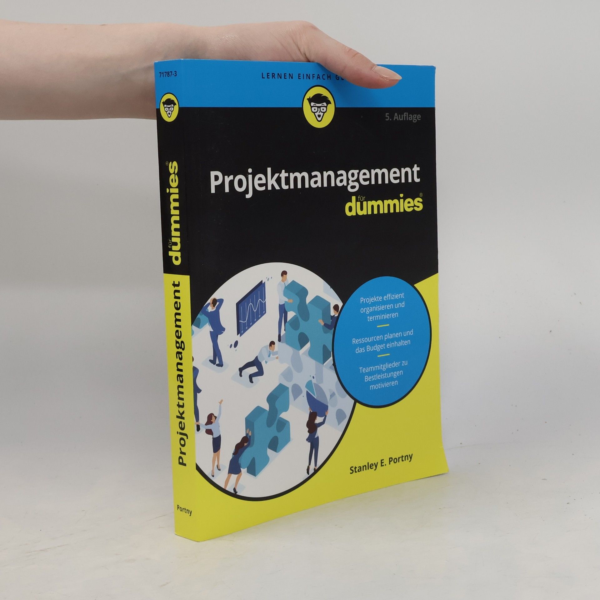 Birgit Schöbitz Projektmanagement für Dummies