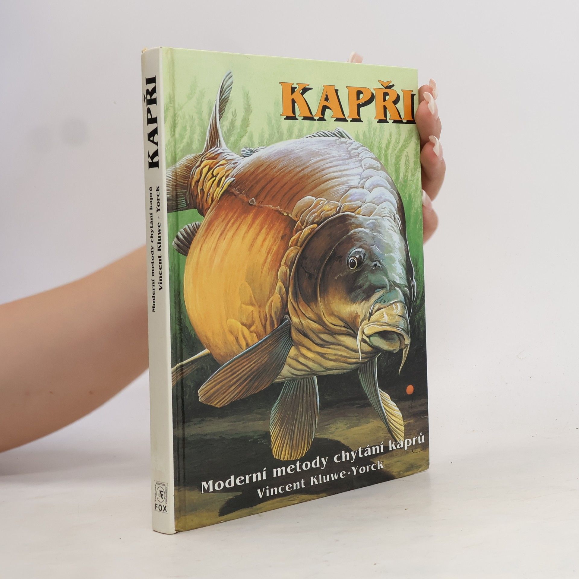 Vincent KluweYorck Kapři. Moderní metody chytání kaprů