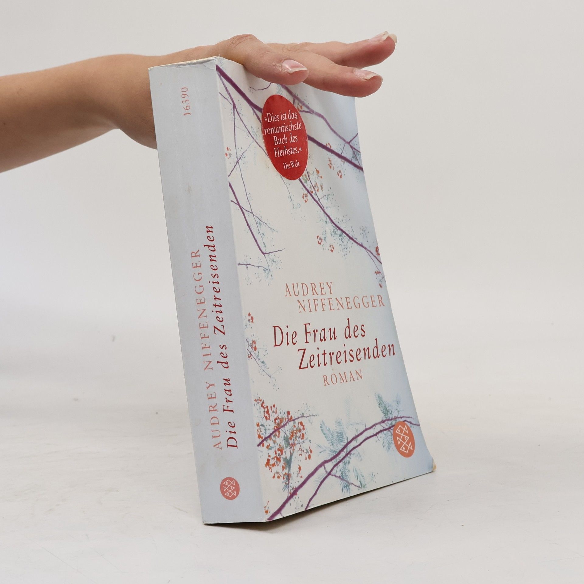 Audrey Niffenegger Die Frau des Zeitreisenden