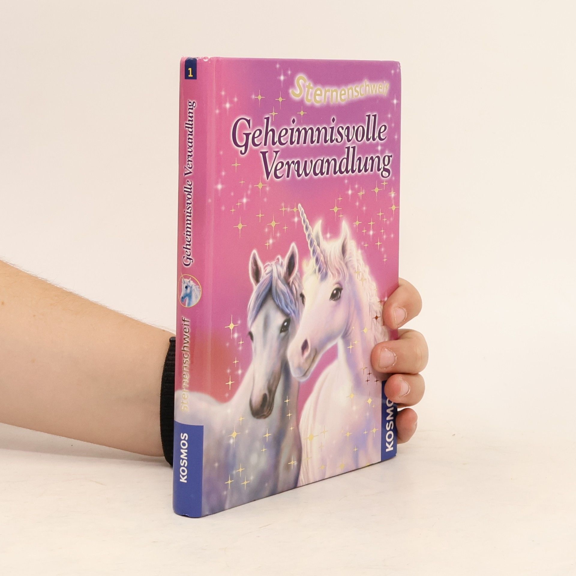 Linda Champan Geheimnisvolle Verwandlung